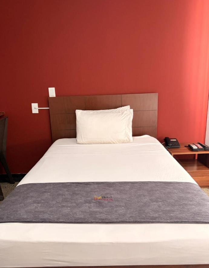 Single Room photo 2