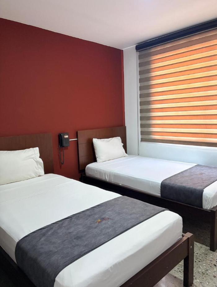 Twin Room photo 3