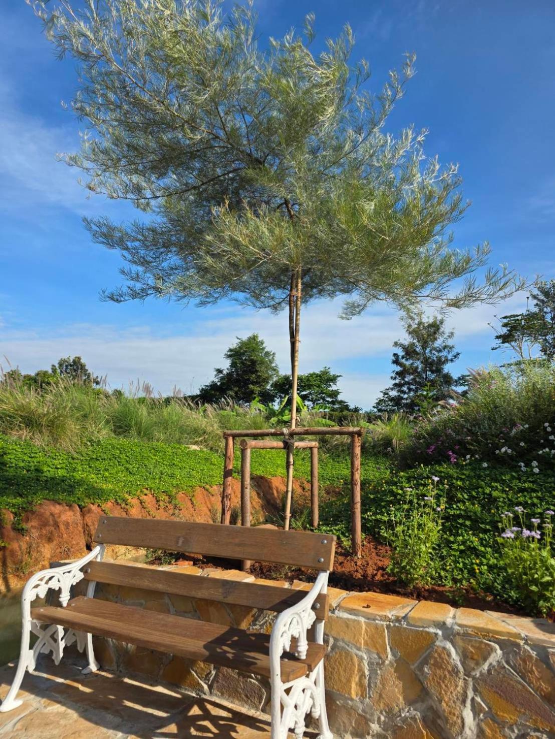 Villa with Garden View photo 2