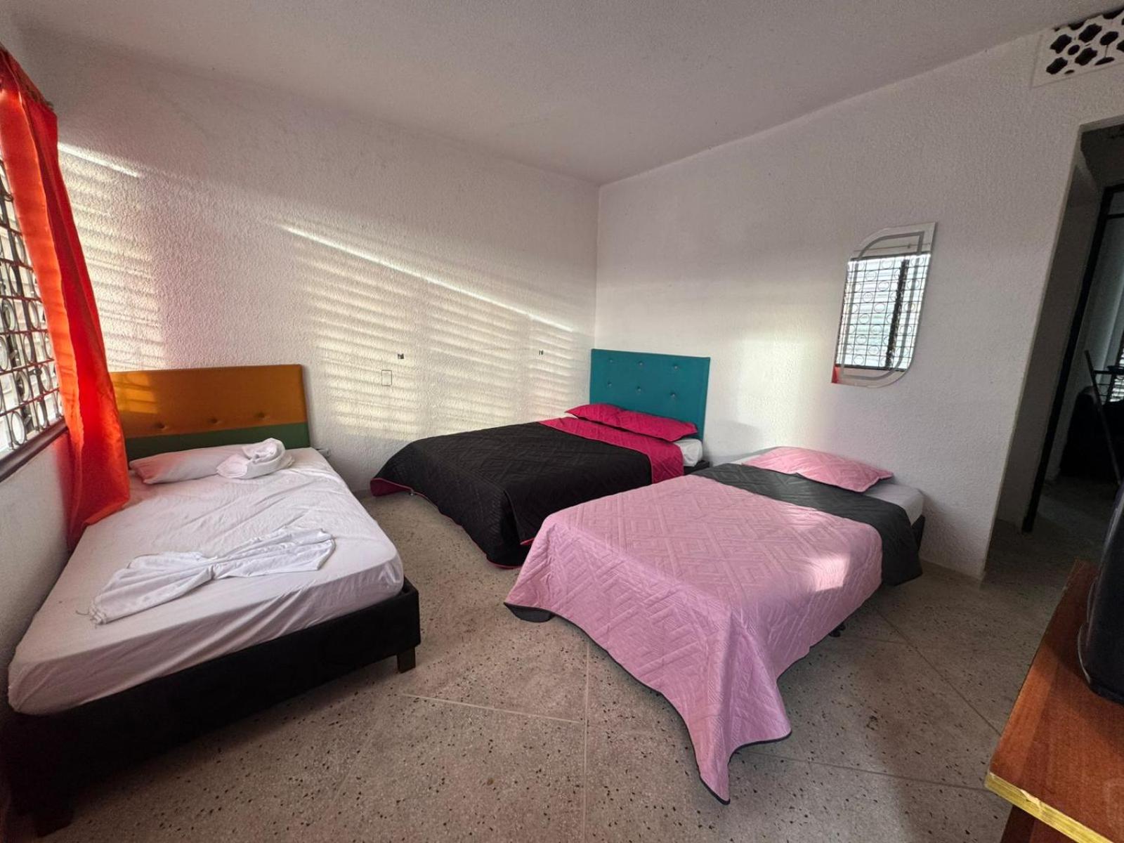Twin Room photo 1