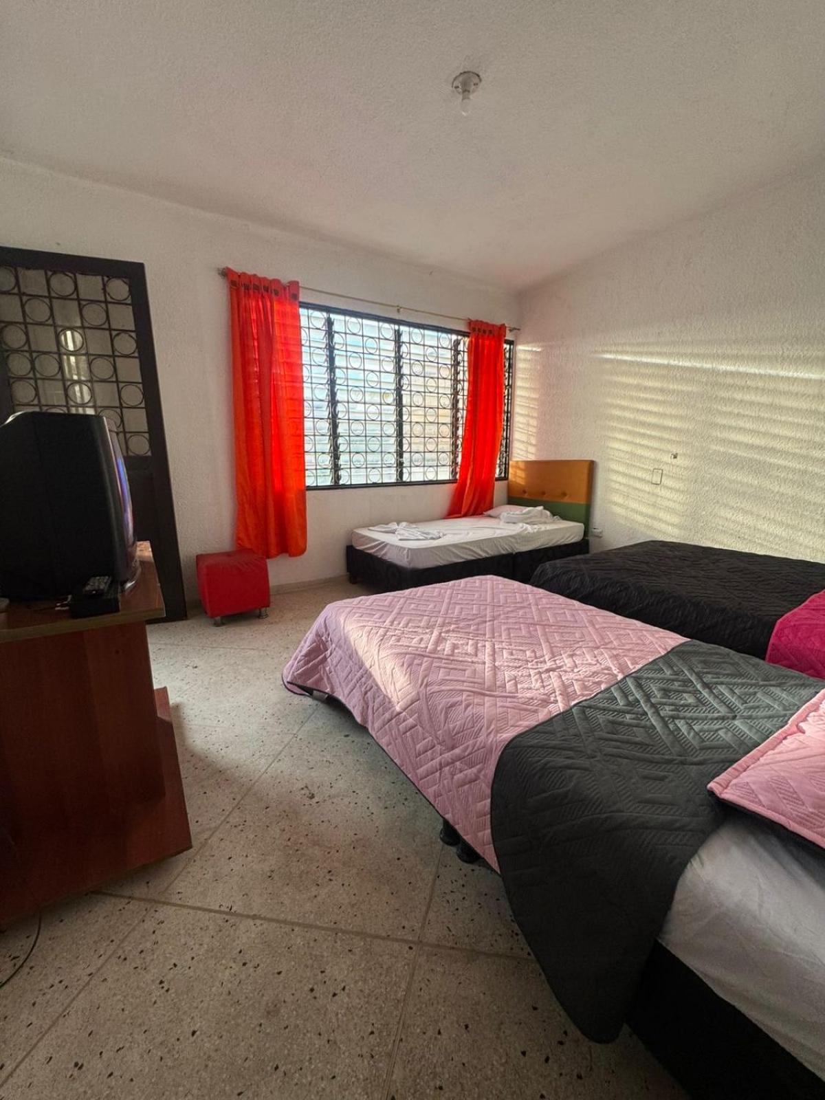 Twin Room photo 2