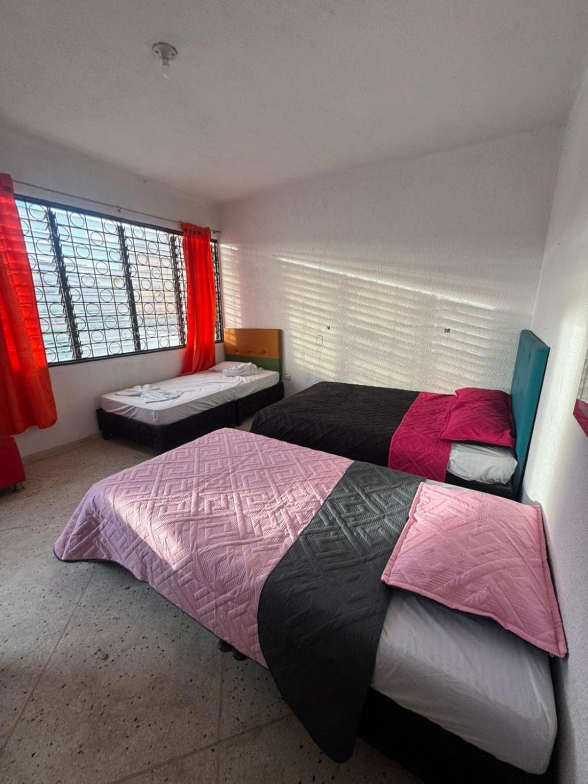 Twin Room photo 3