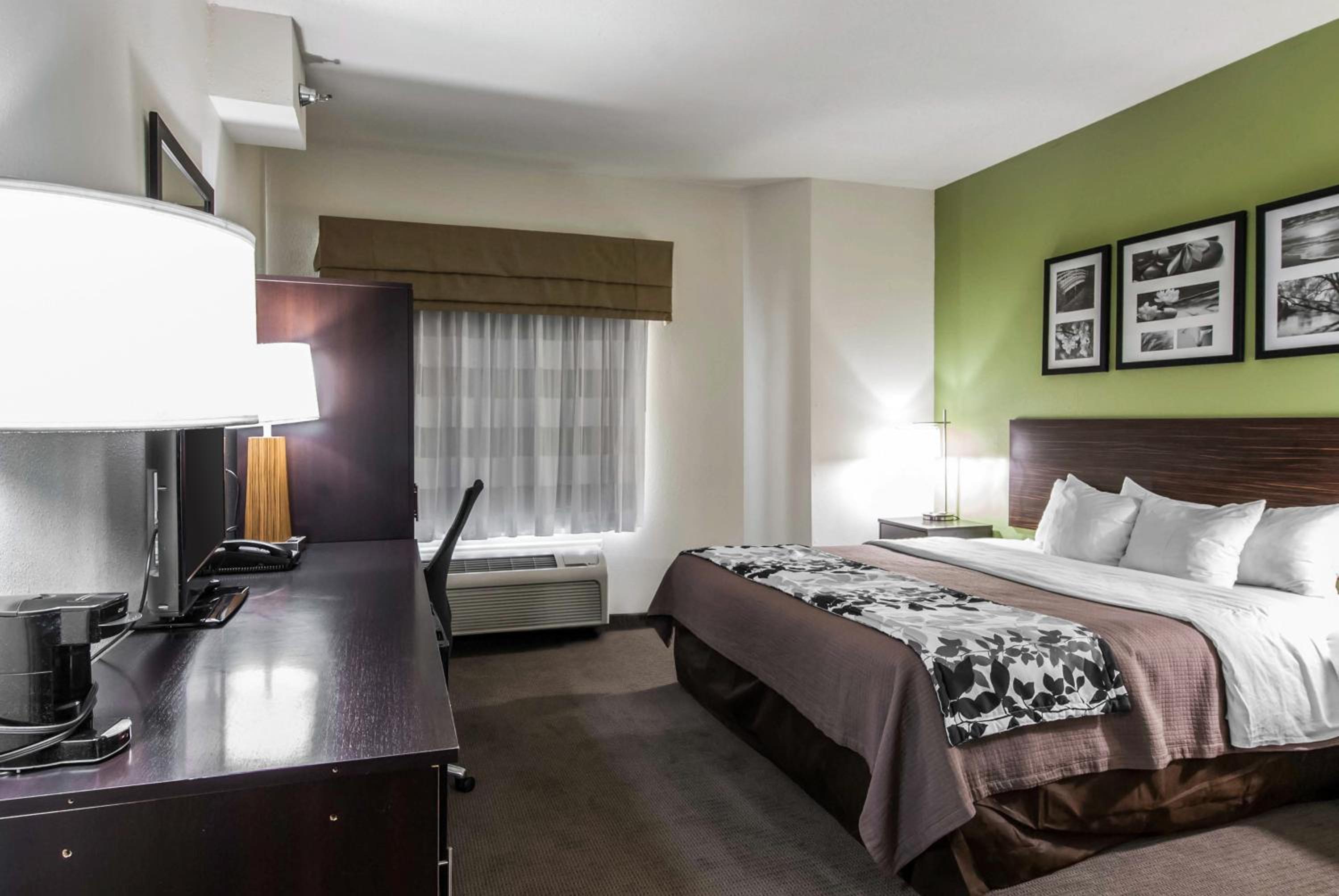 King Suite - Non-Smoking - Photo 4