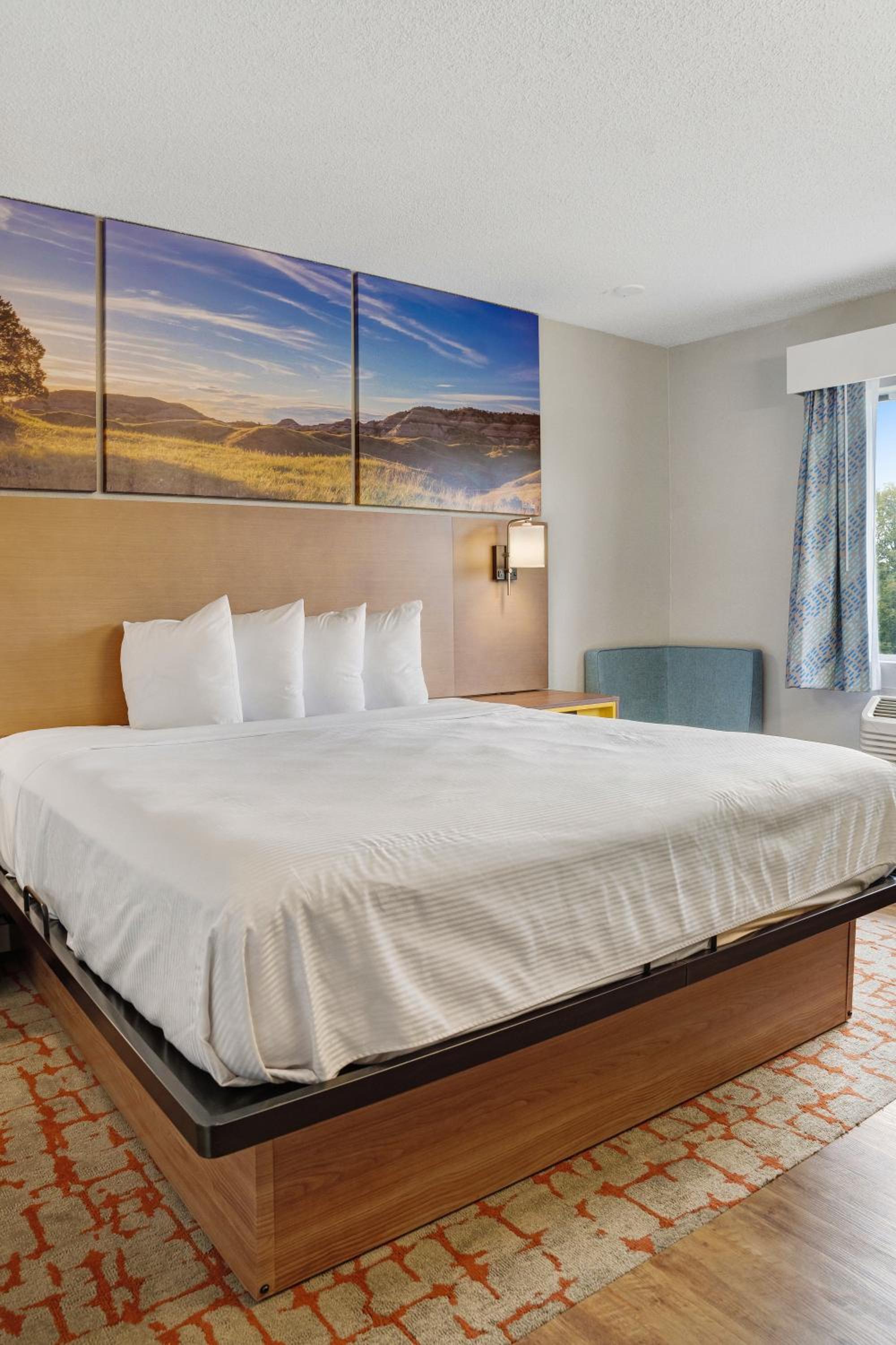 Deluxe King Room - Photo 18