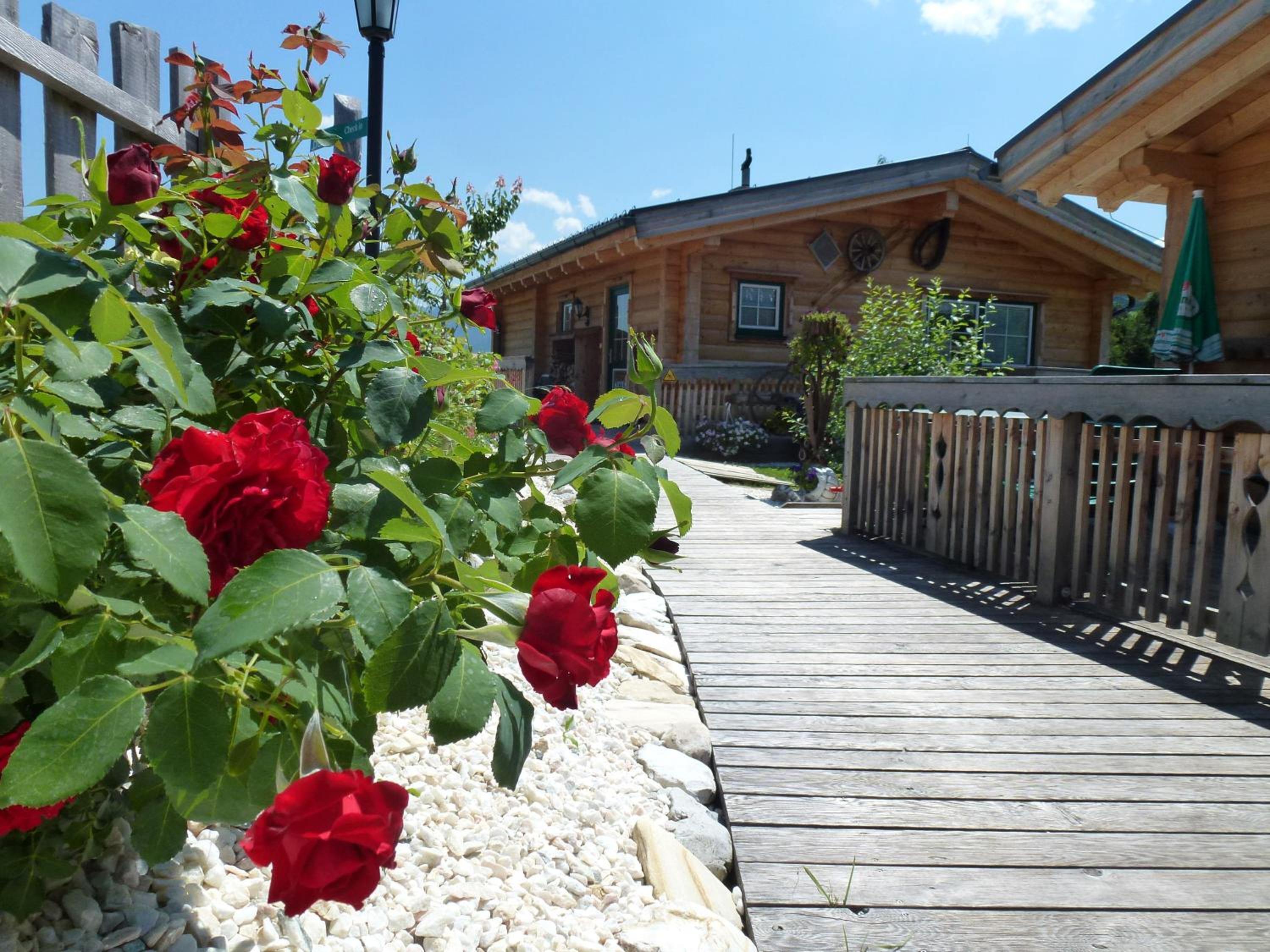 Superior Chalet photo 3