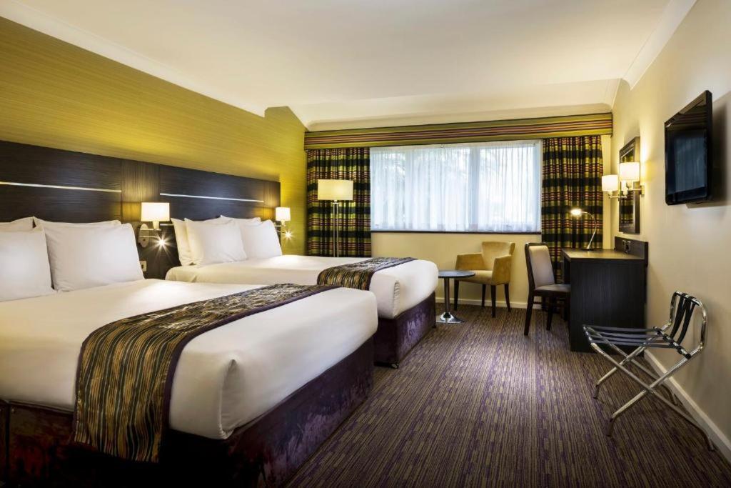 Standard Room with Two Single Beds - Photo 1