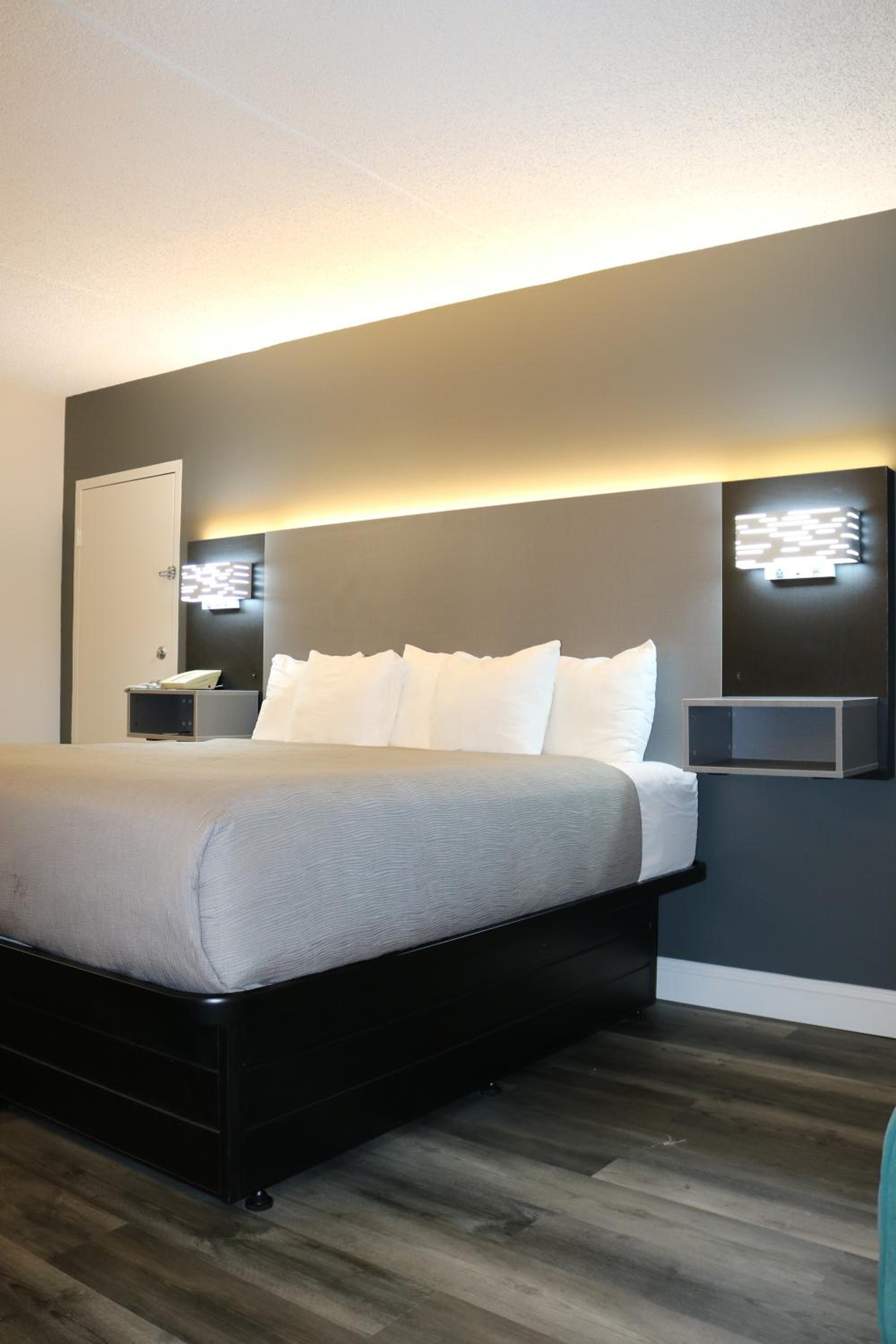 Queen Room - Non Smoking/Pet Friendly - Photo 4