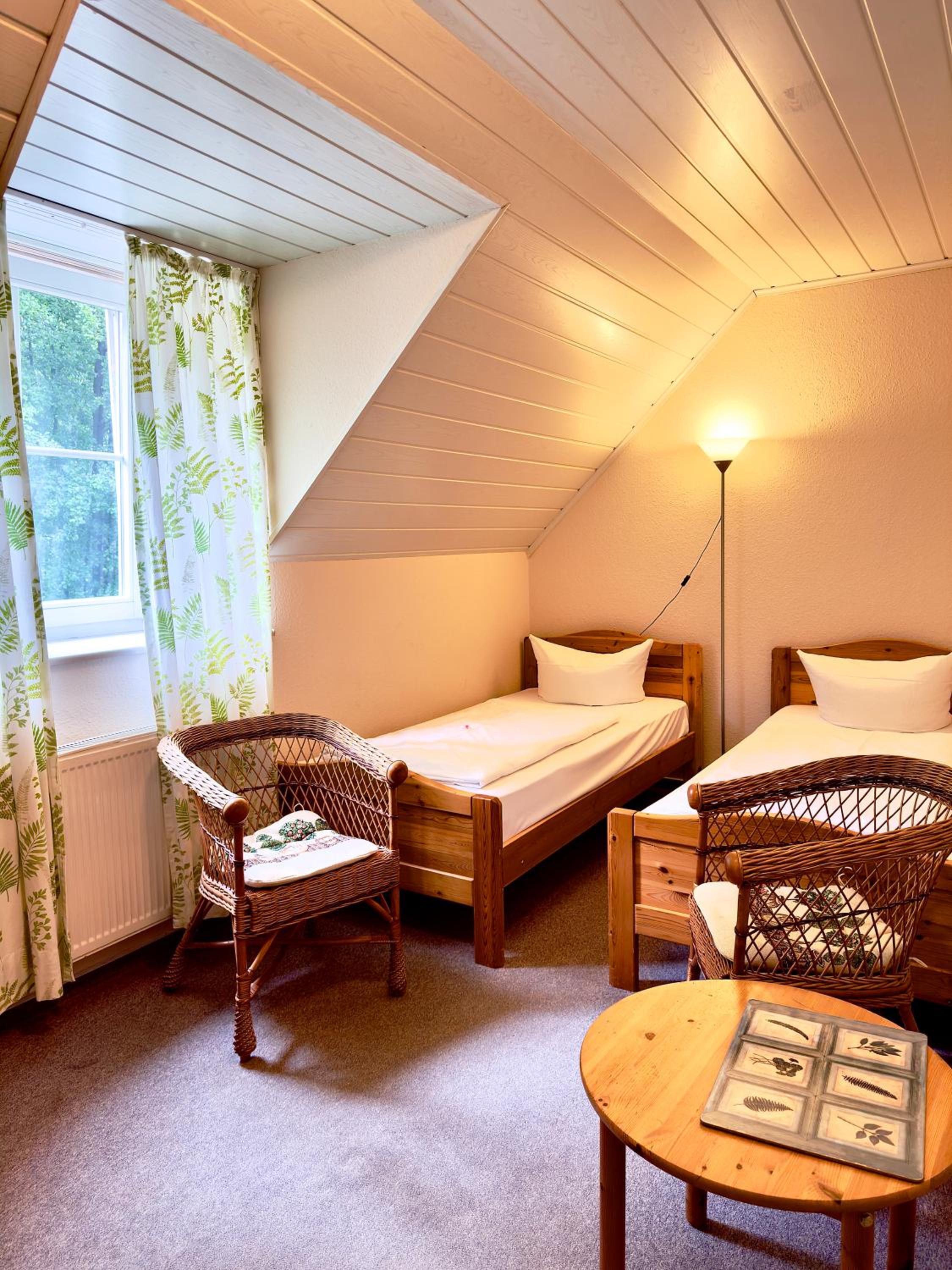 Standard Twin Room