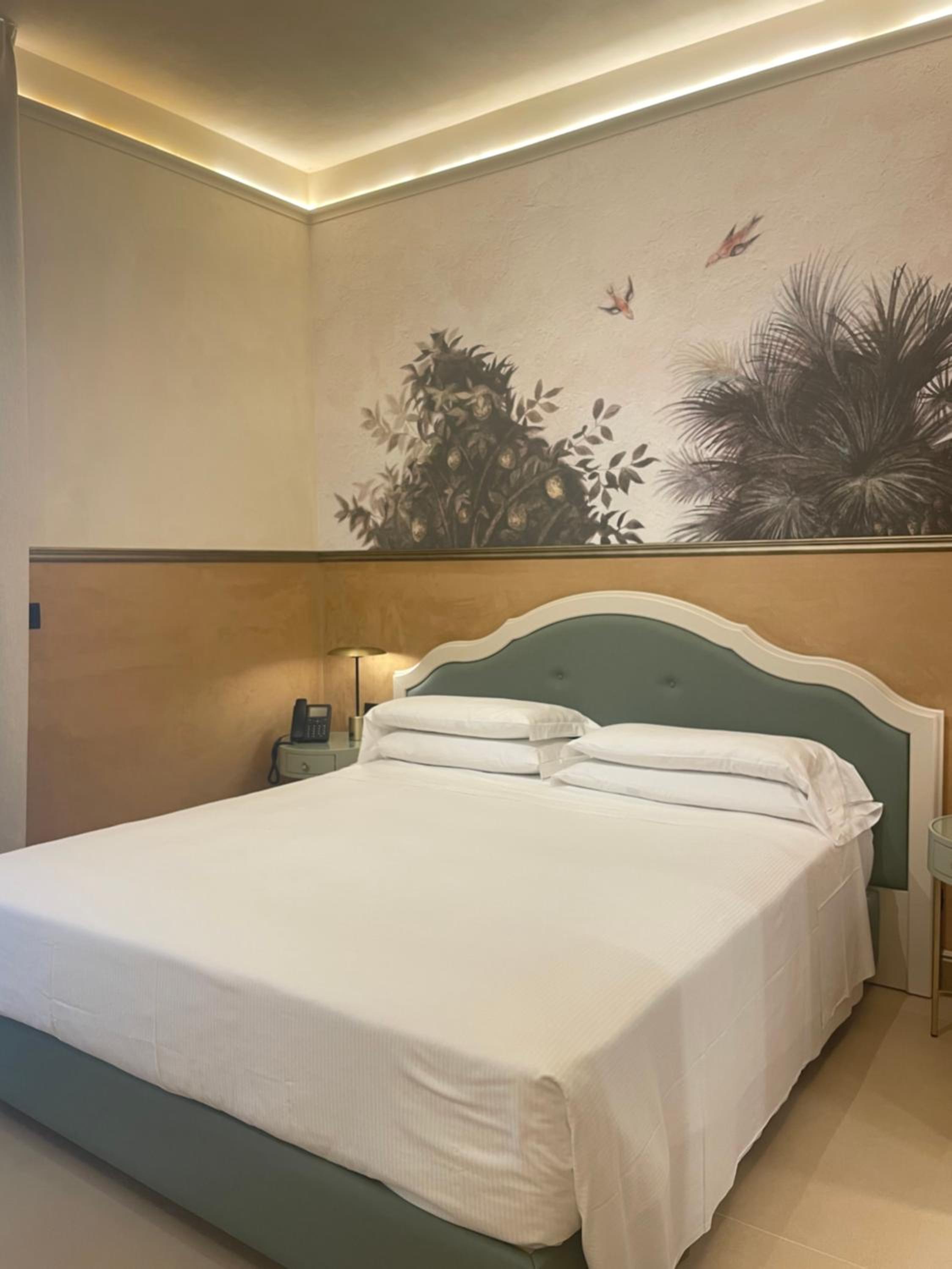 Superior Double Room - Ground Floor photo 1