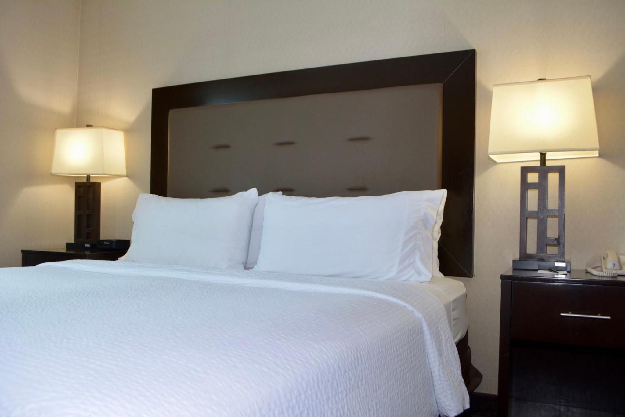 Standard King Room - Photo 2