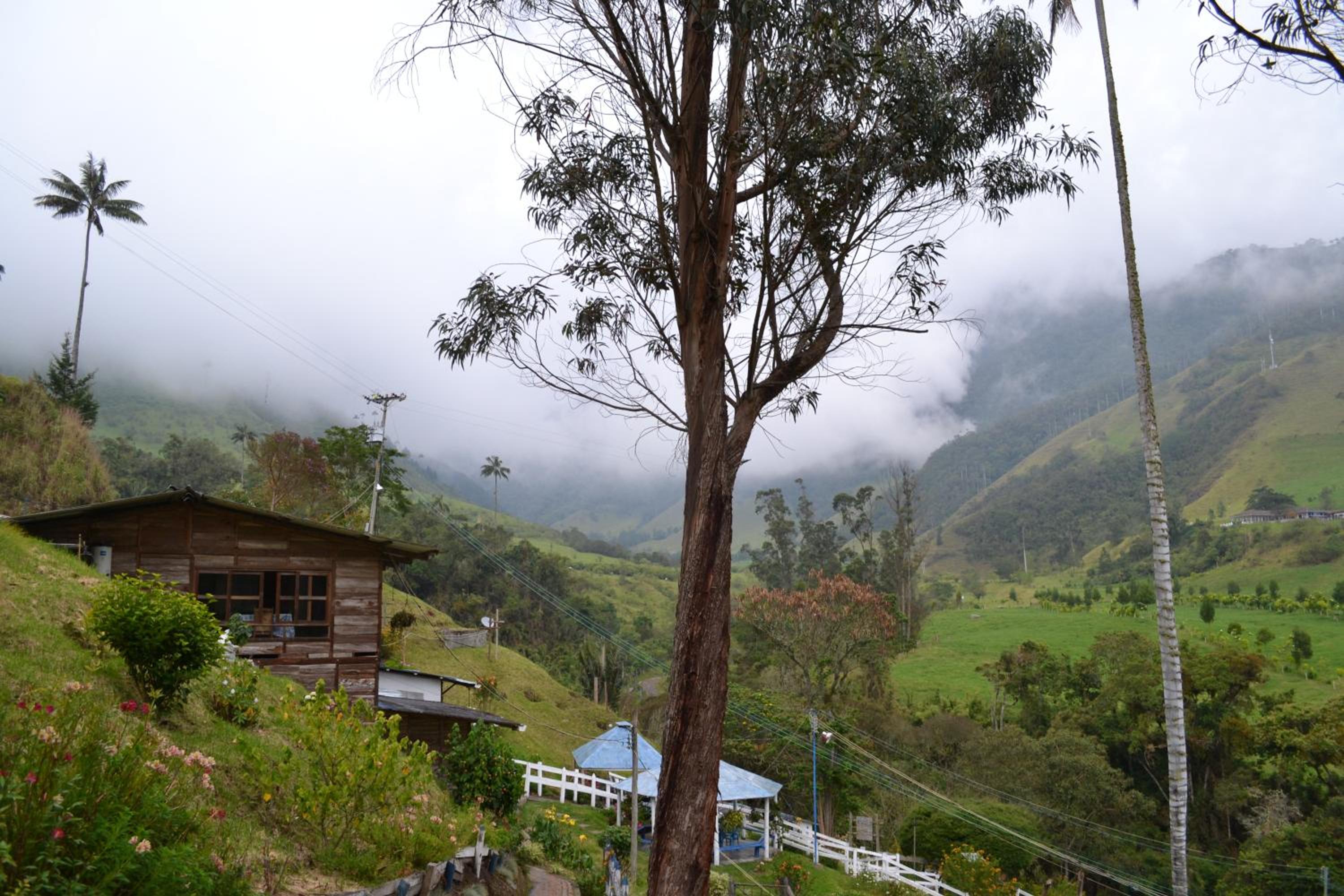 Chalet photo 3