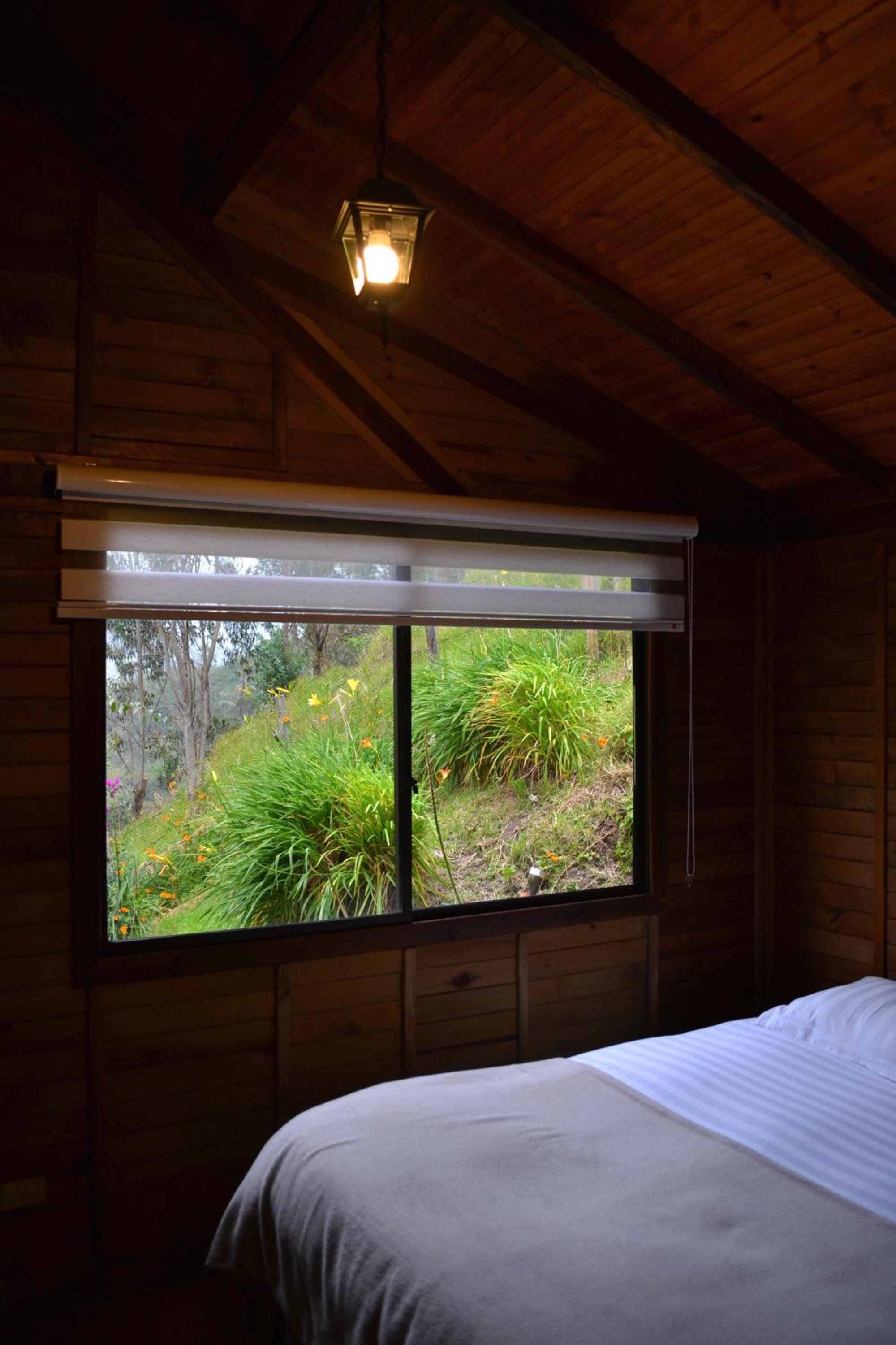 Chalet photo 2