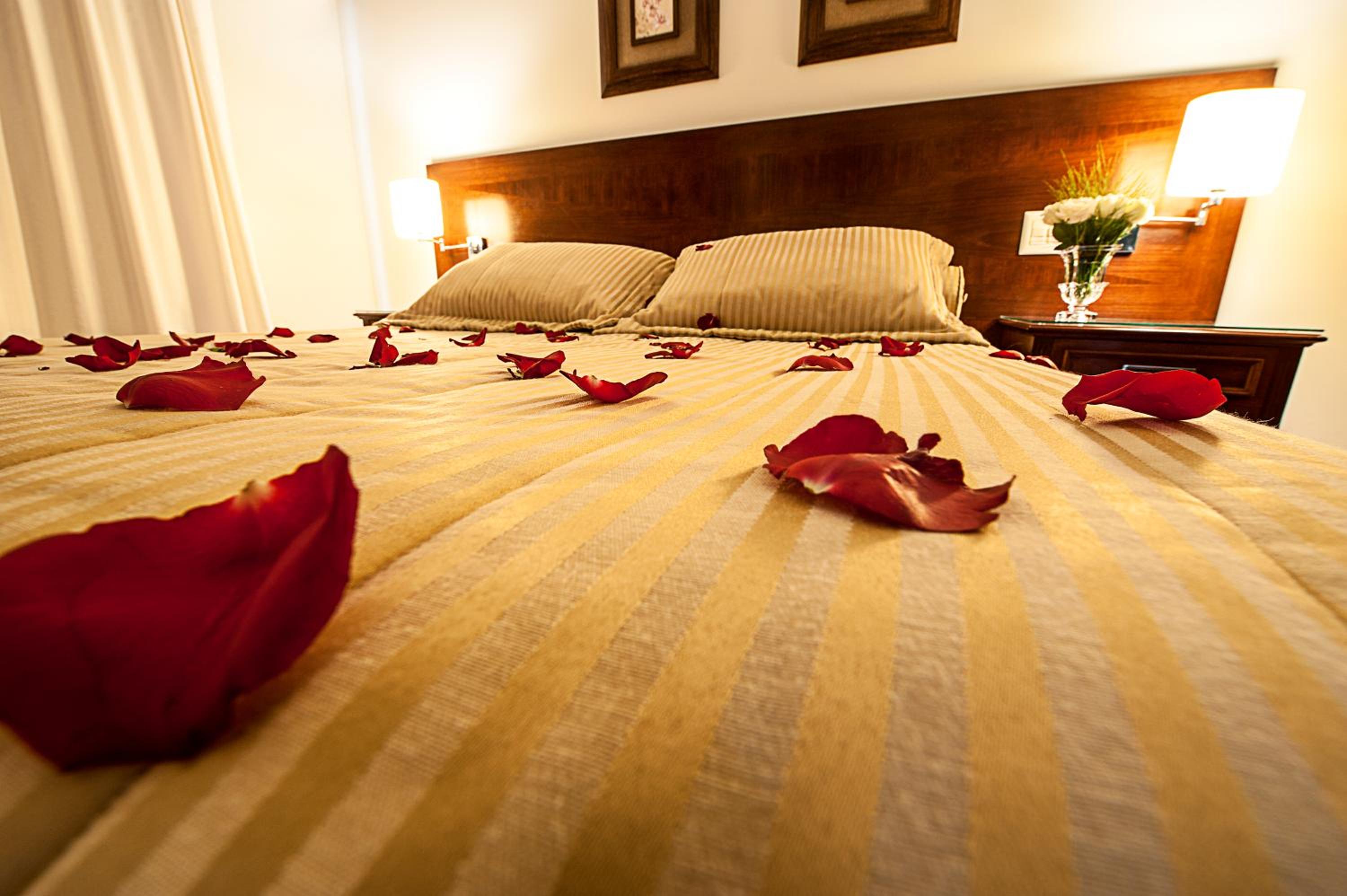 Suite photo 1