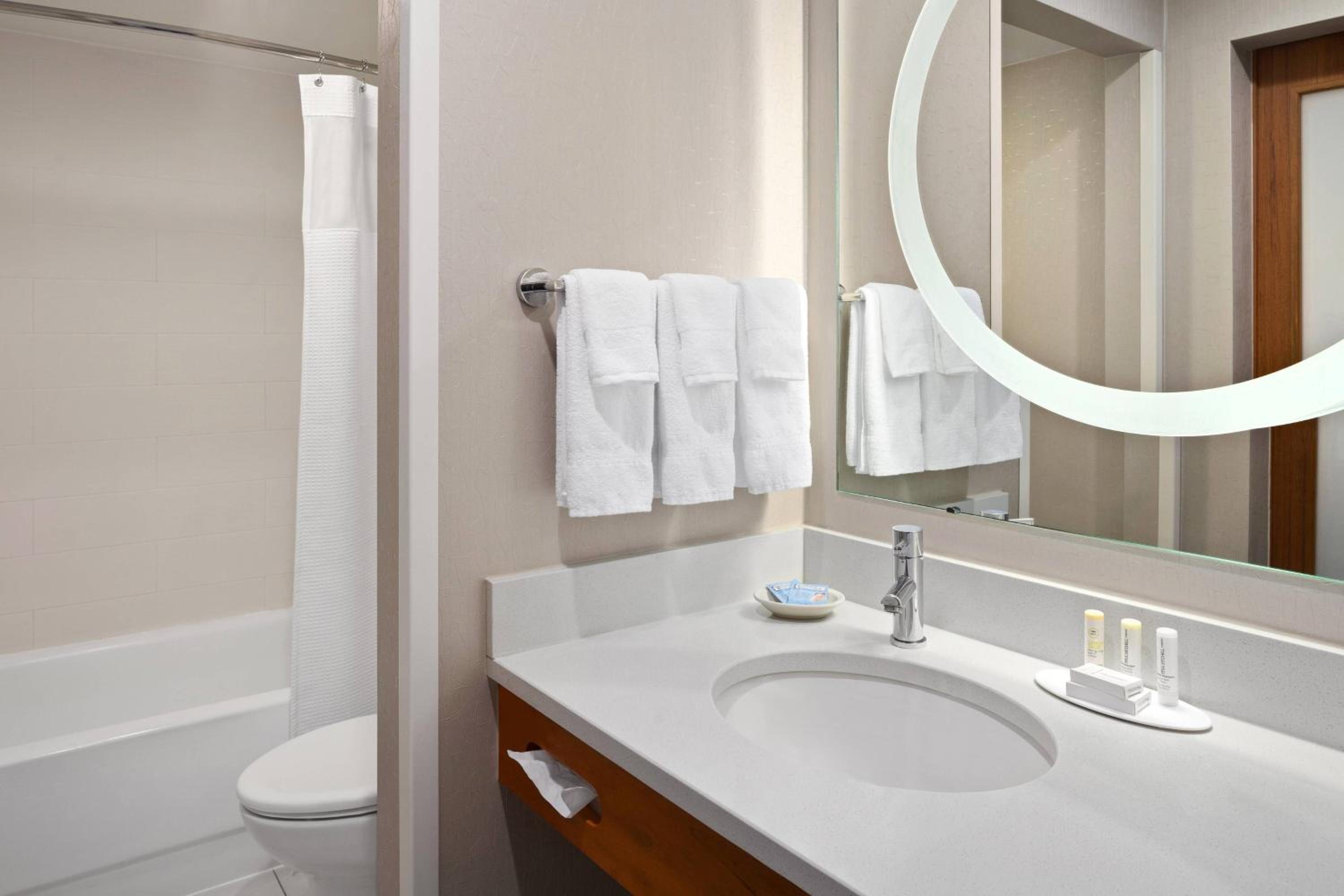 King Suite with Trundle Sofa - Hearing Accessible - Photo 7