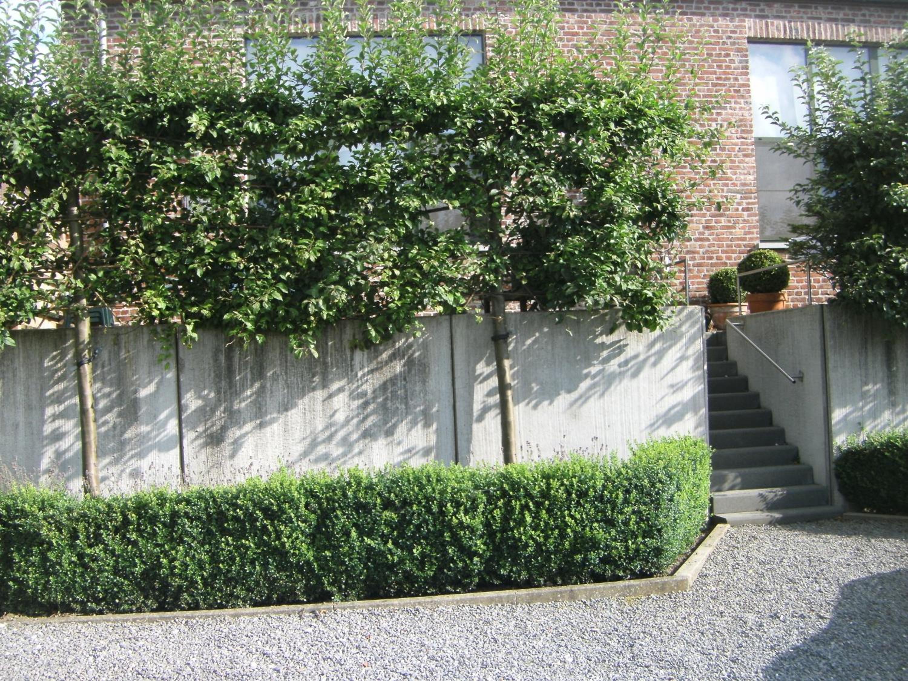 Studio Apartment photo 3