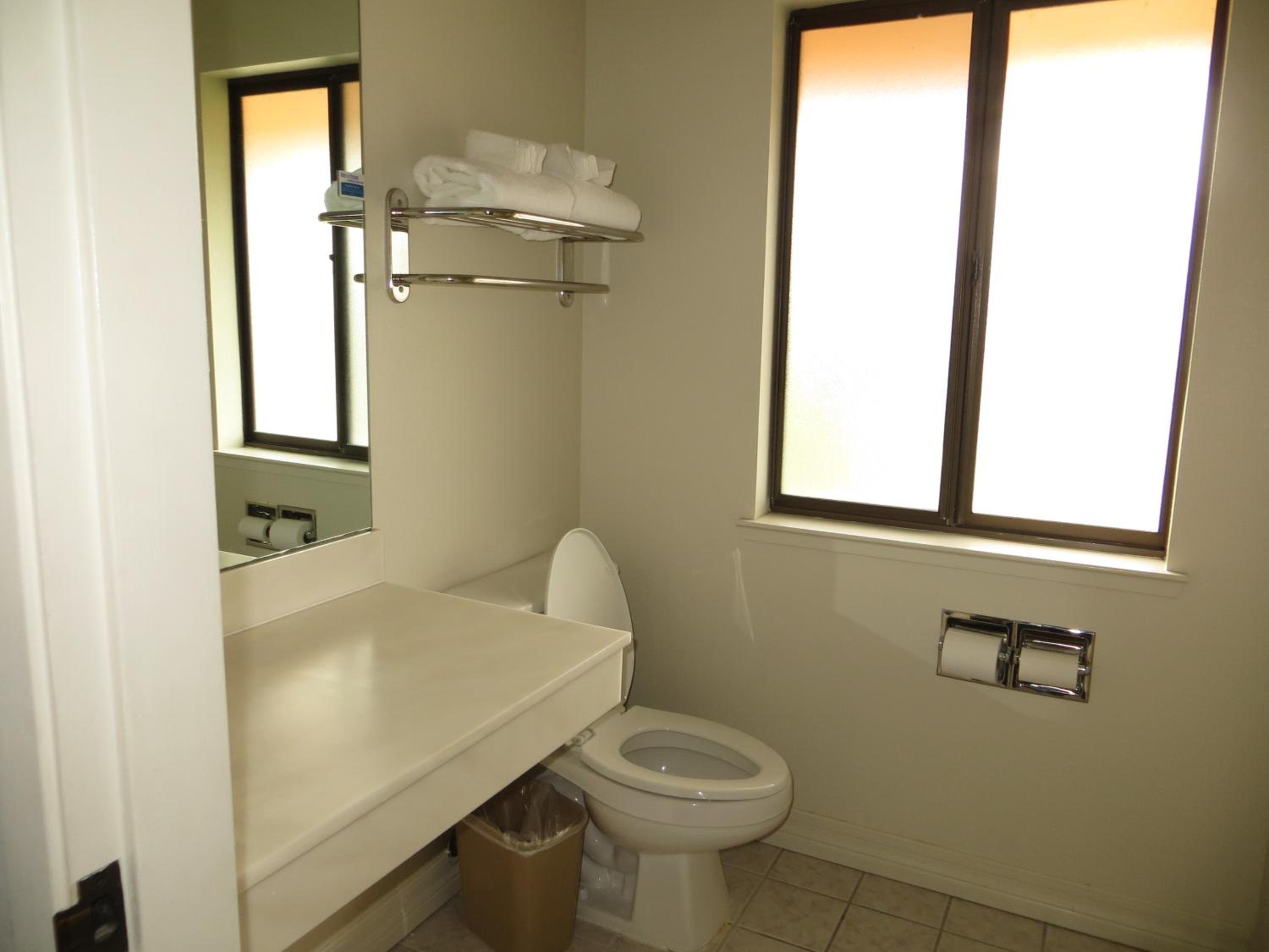 Deluxe King Suite - Photo 8