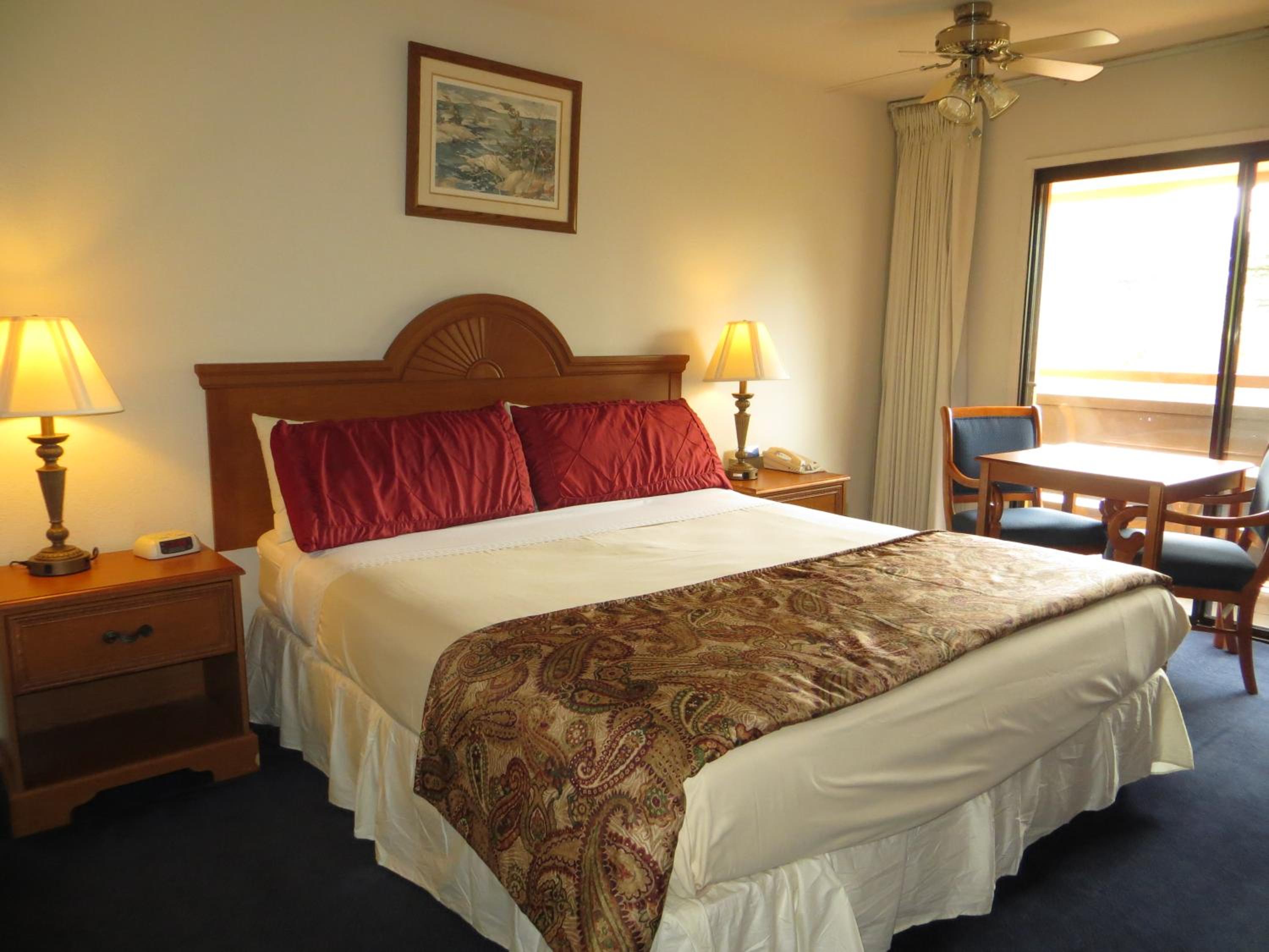 Deluxe King Suite - Photo 4