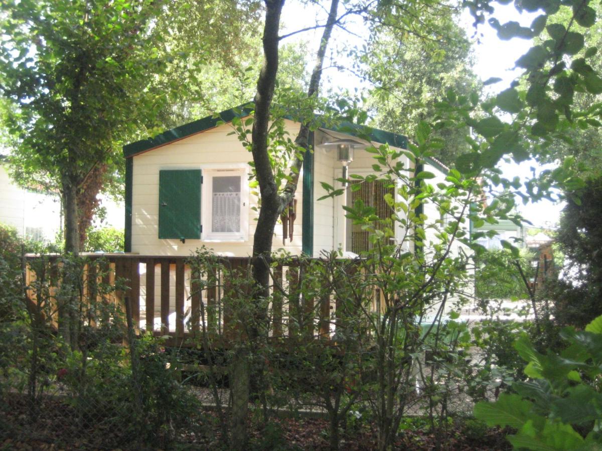 Chalet (4 Adults) - Photo 2
