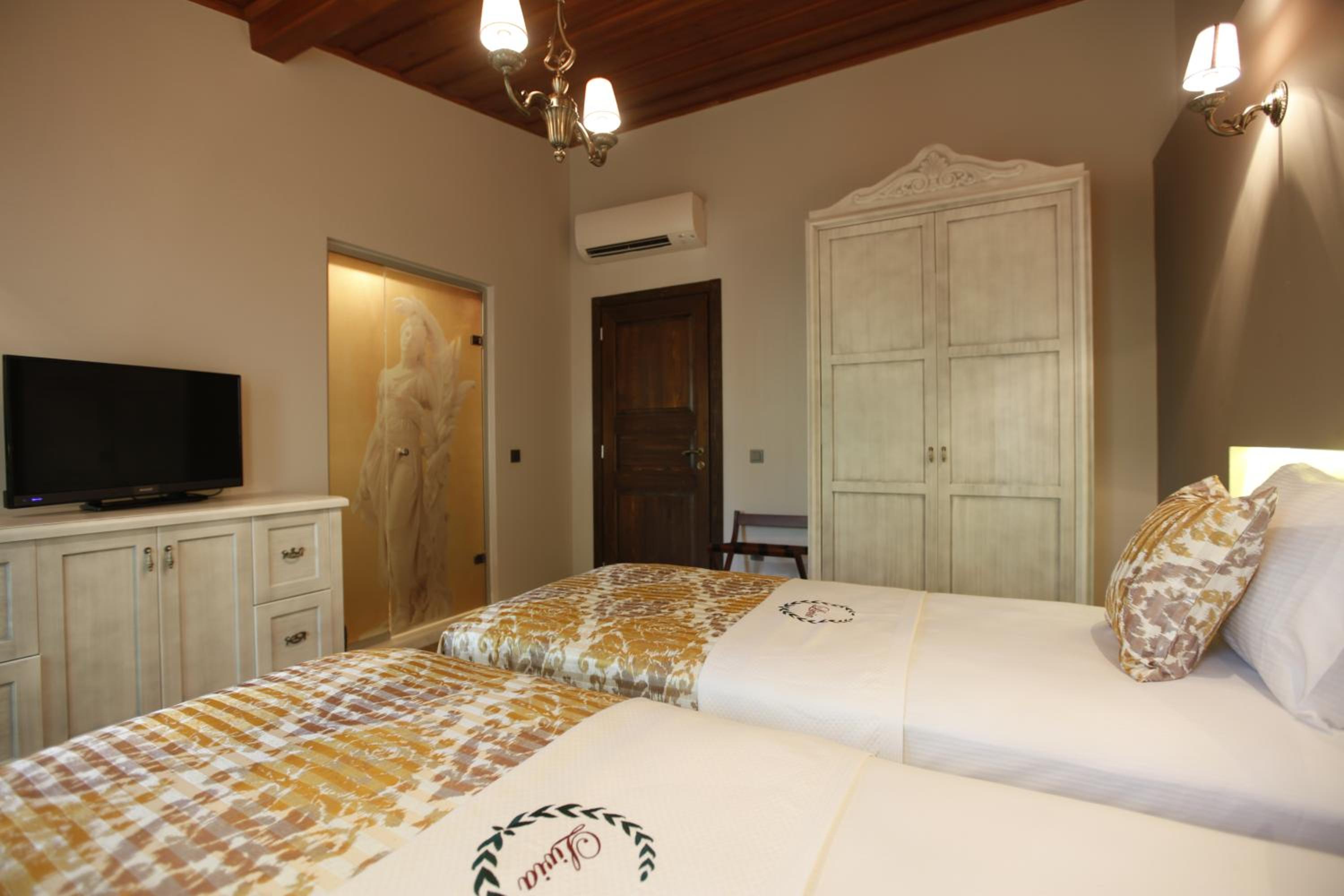 Deluxe Double or Twin Room photo 2