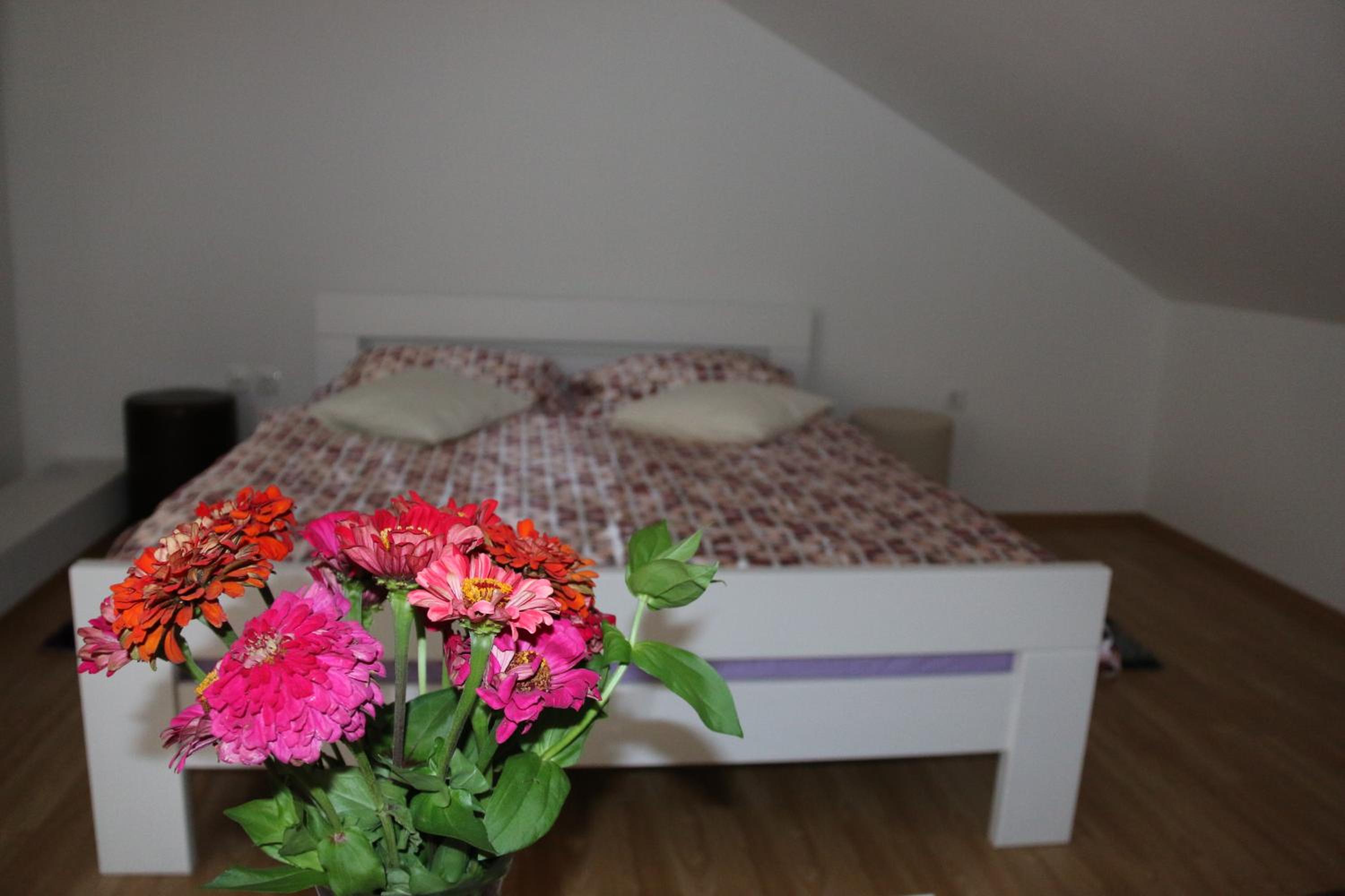 Bed In 4-Bed Dormitory Room photo 2