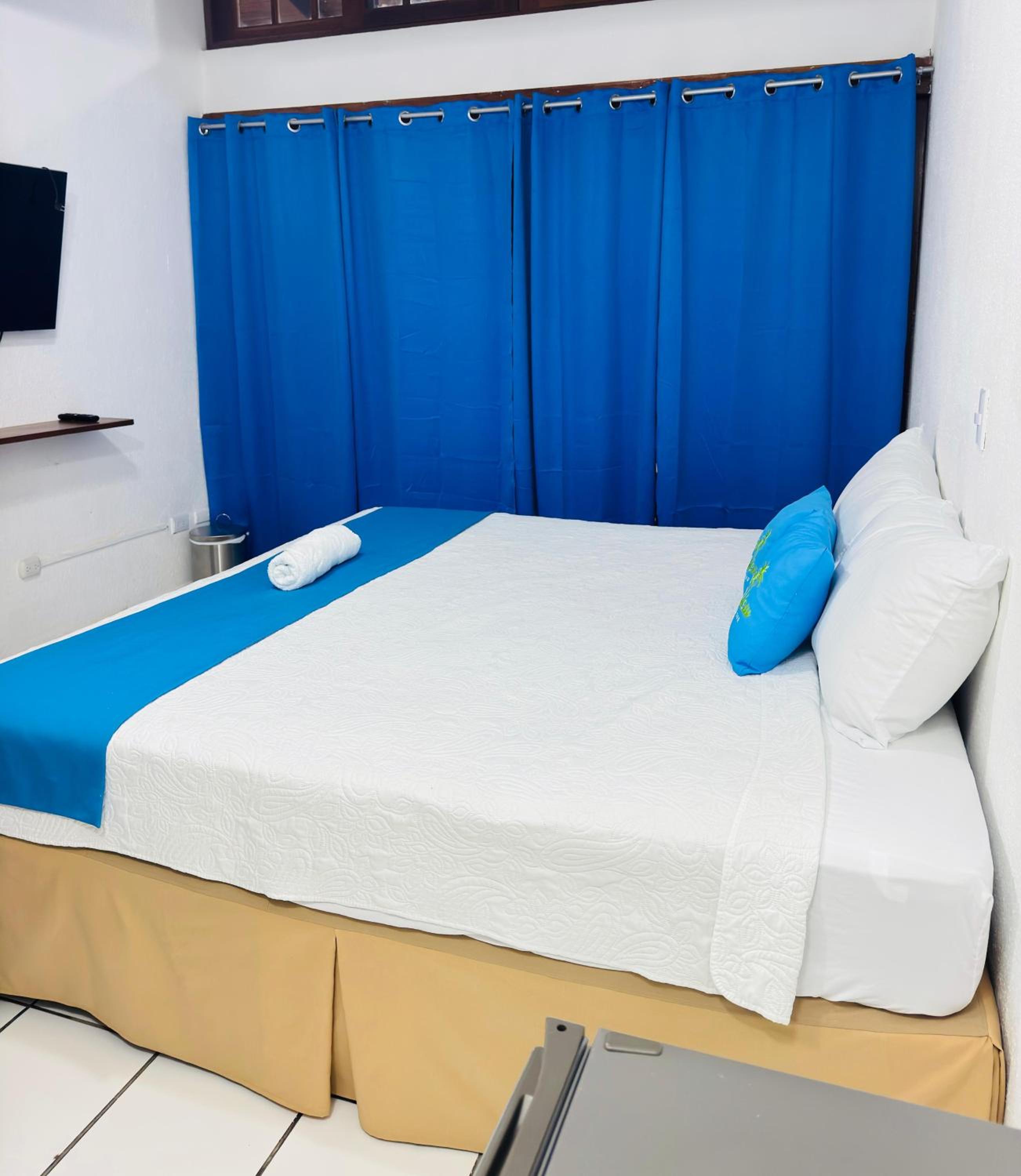 King Room with Sea View photo 3