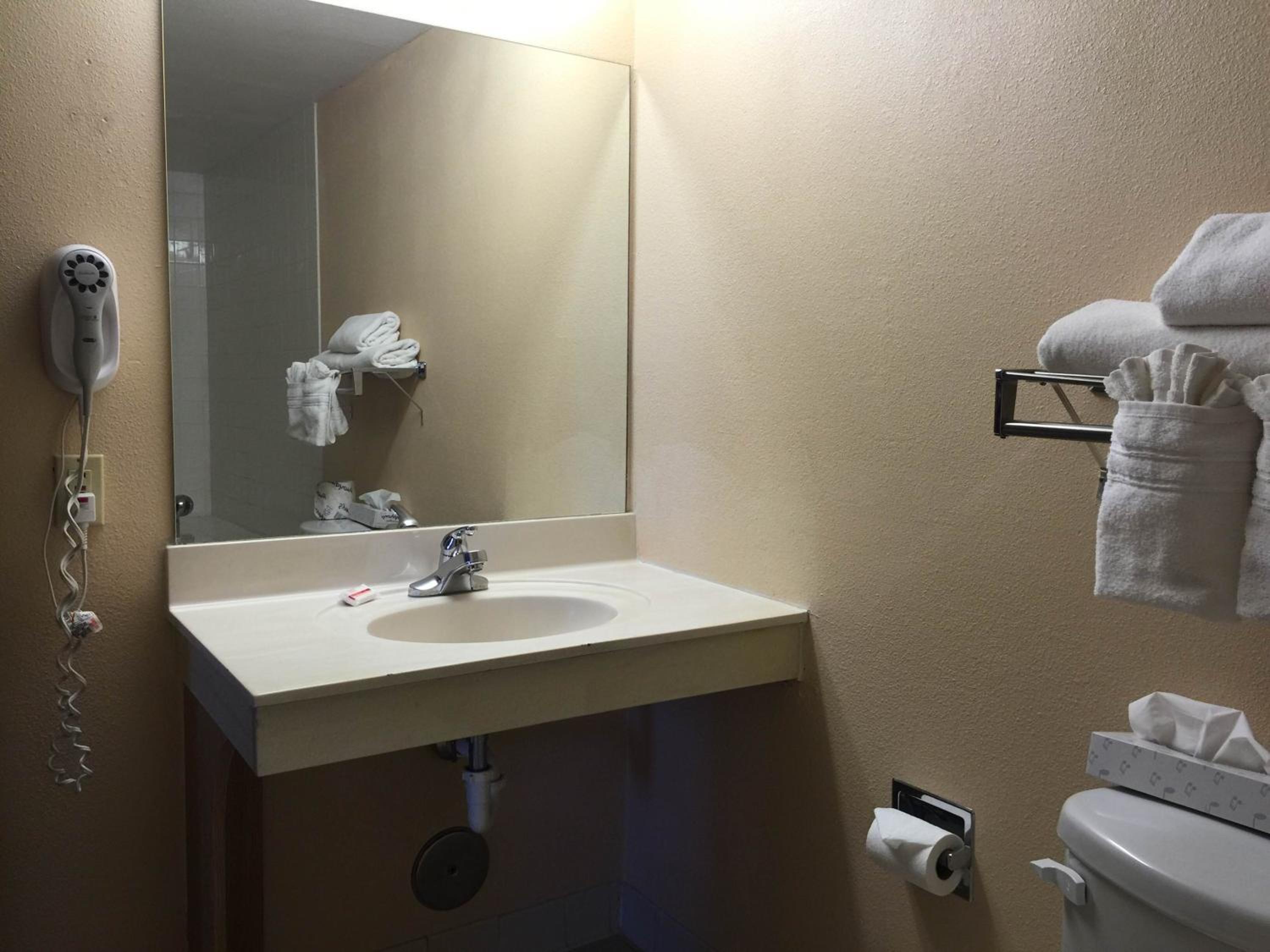 King Suite with Walk-In Shower, Pet-Friendly, Non-Smoking - Photo 5