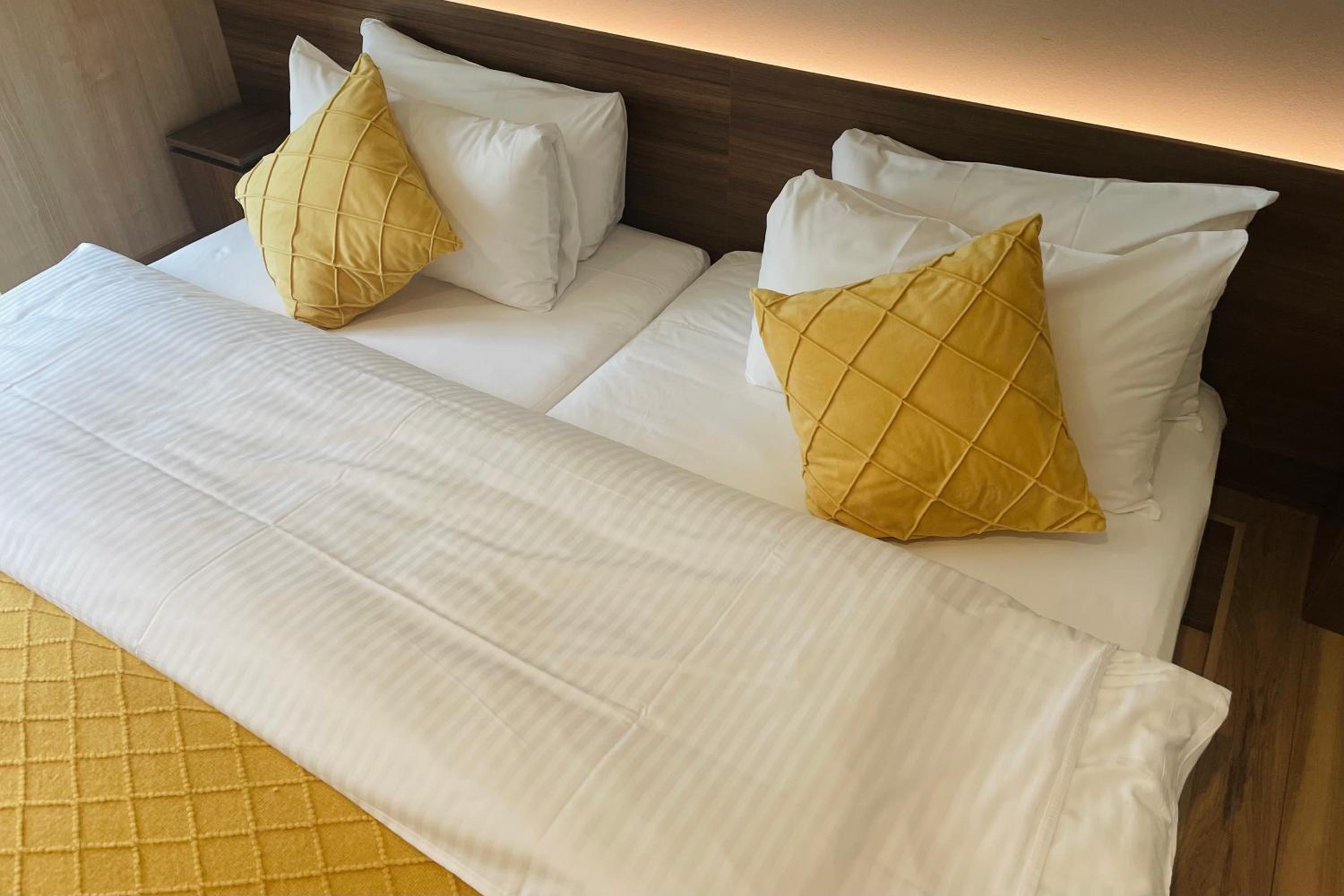 Deluxe Twin Room photo 3