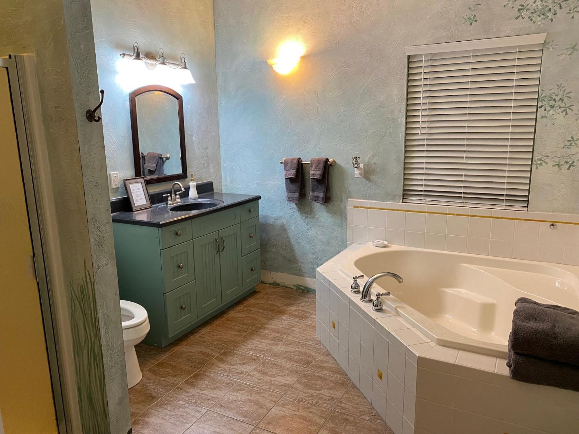 Deluxe King Suite - Photo 6