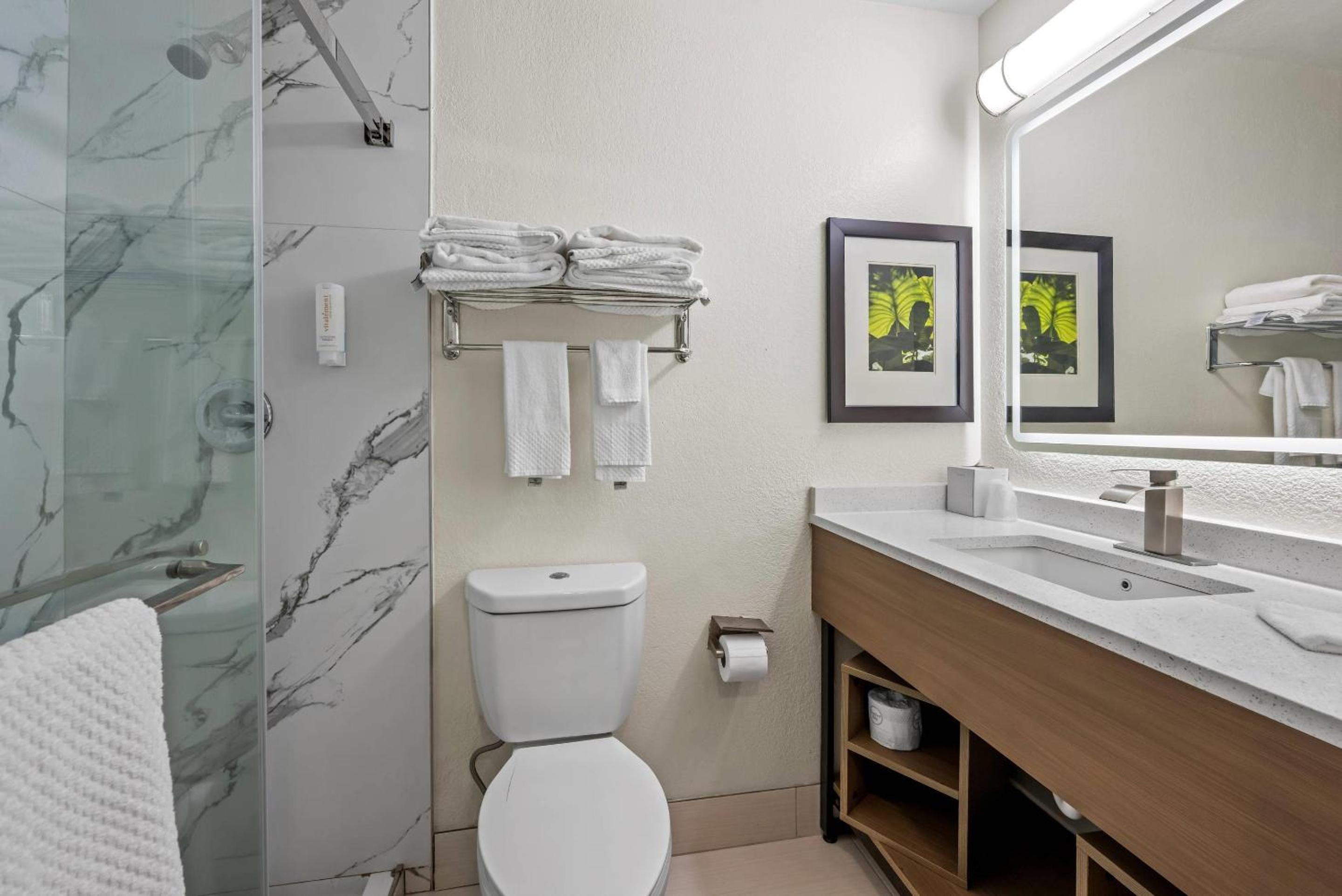 1 Bedroom Apartment Suite, Full Kitchen photo 1