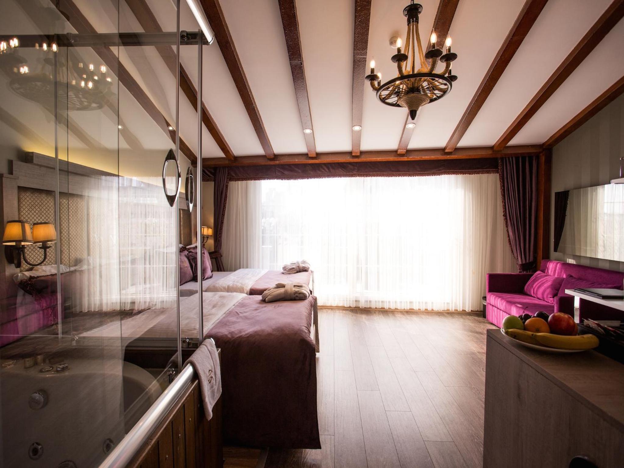 Executive Terrace Suite with Jacuzzi photo 2