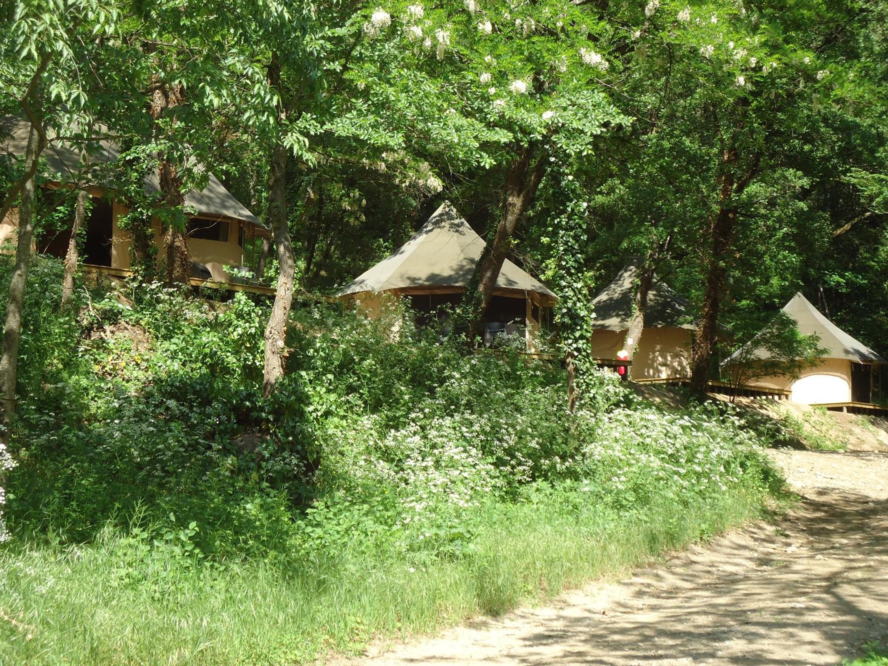 Superior Double Lodge - River View photo 3