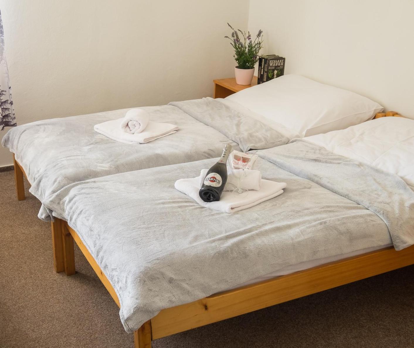 Double or Twin Room photo 1