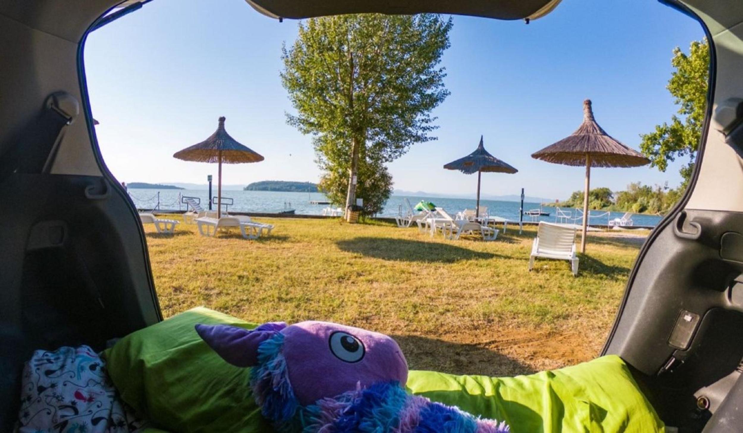Empty Spot (Bring your own Tent) photo 3