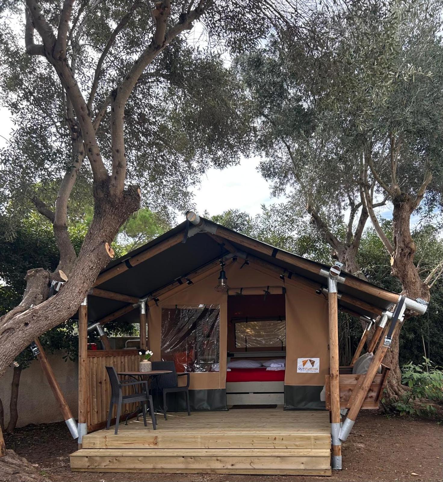 Tent among the olive trees