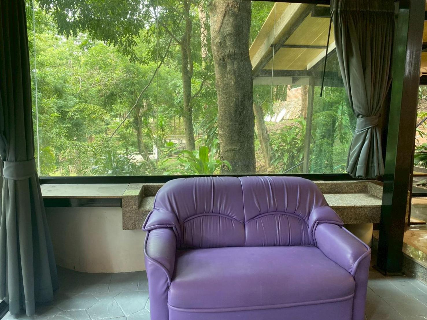 Deluxe Double Room - Photo 7