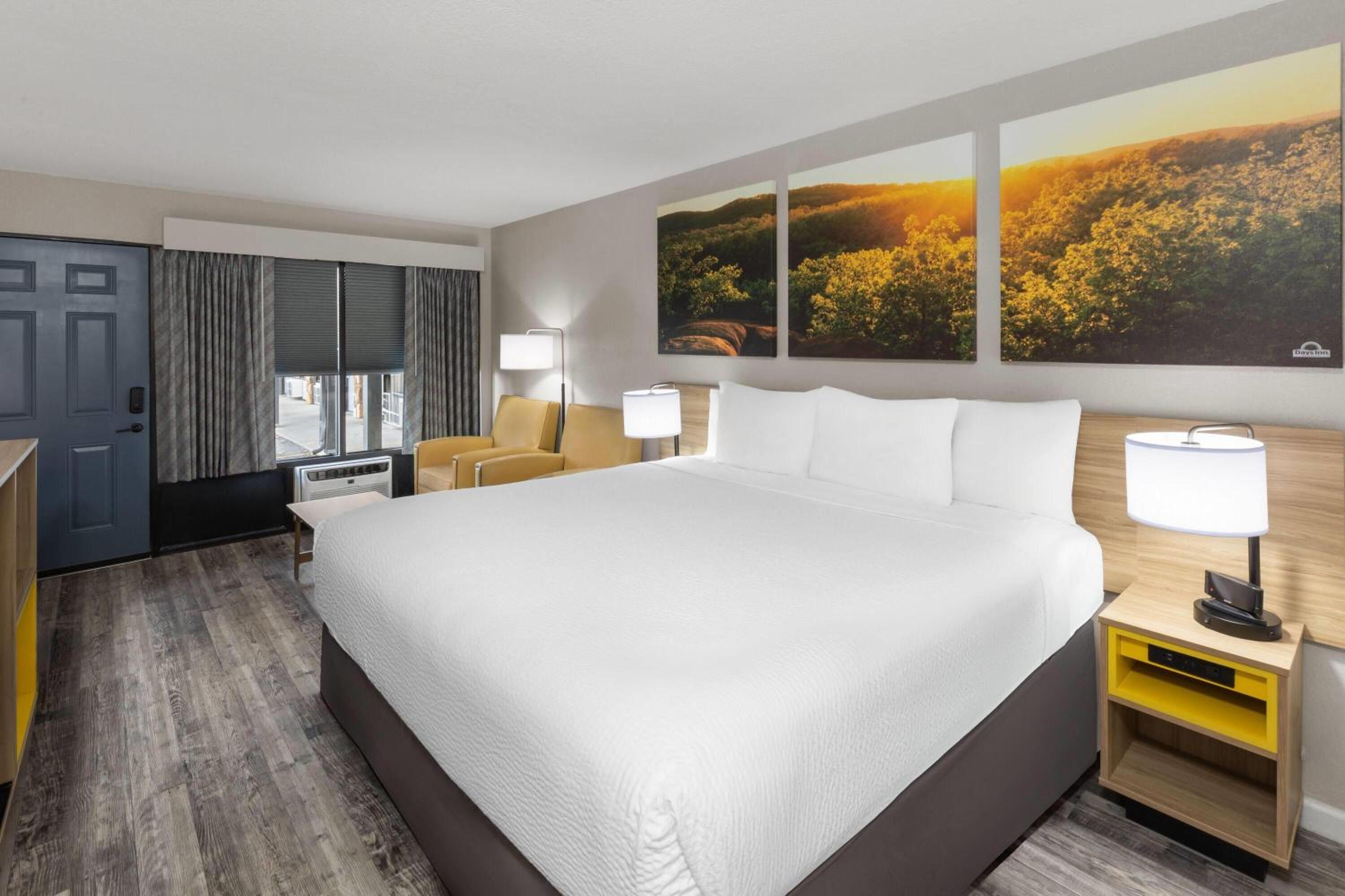 King Room - Pet Friendly/Non-Smoking - Photo 4