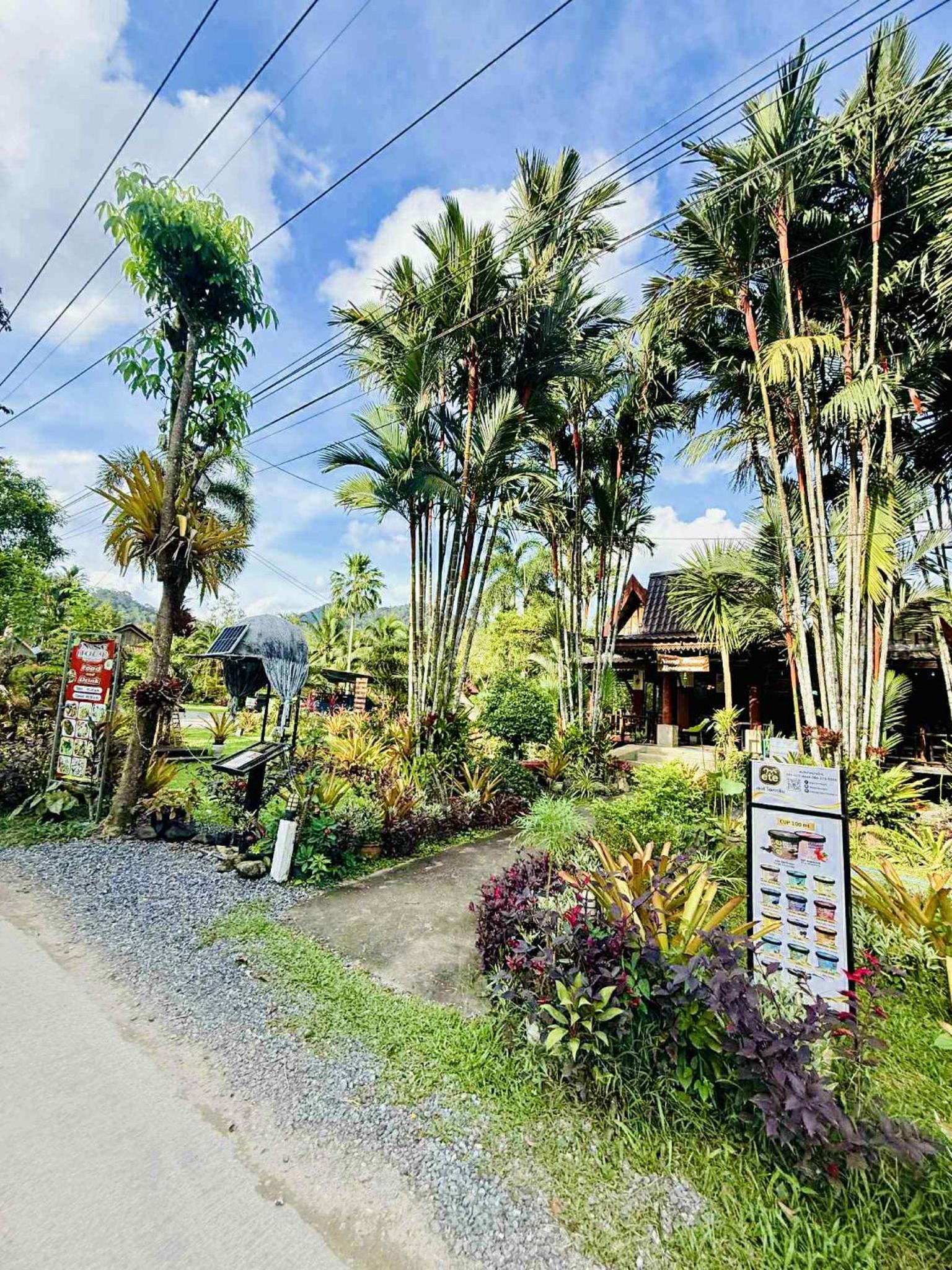 Family Bungalow photo 2