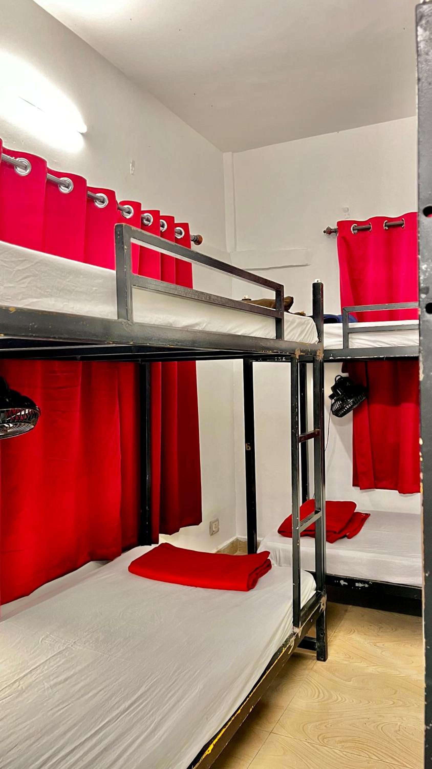 Bed in 4-Bed Mixed Dormitory Room photo 3