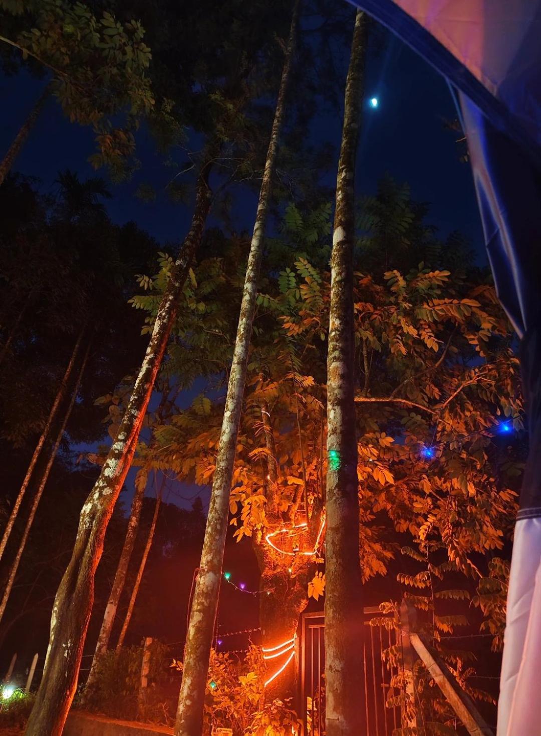 Tent photo 1