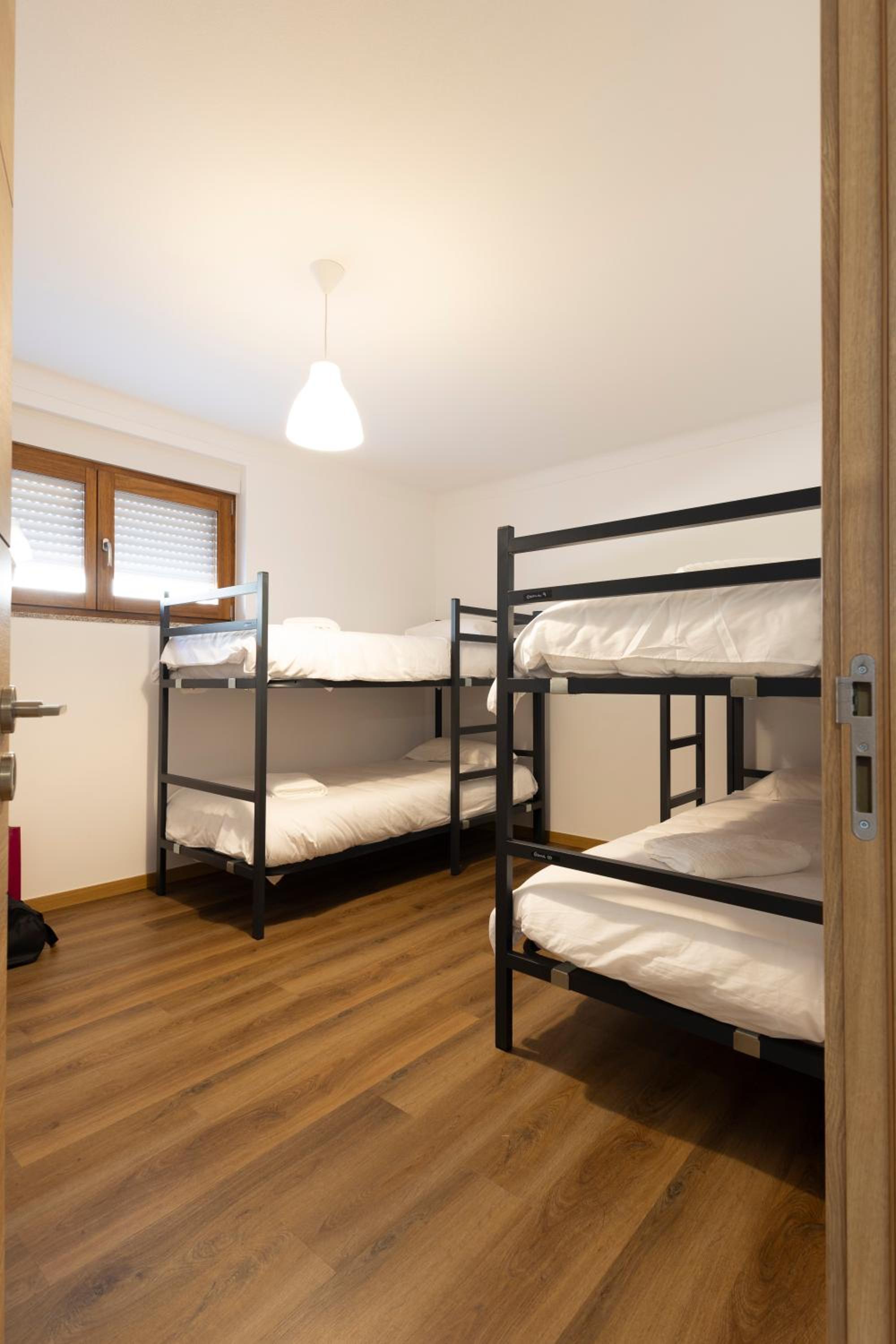 Bunk Bed in Mixed Dormitory Room photo 1