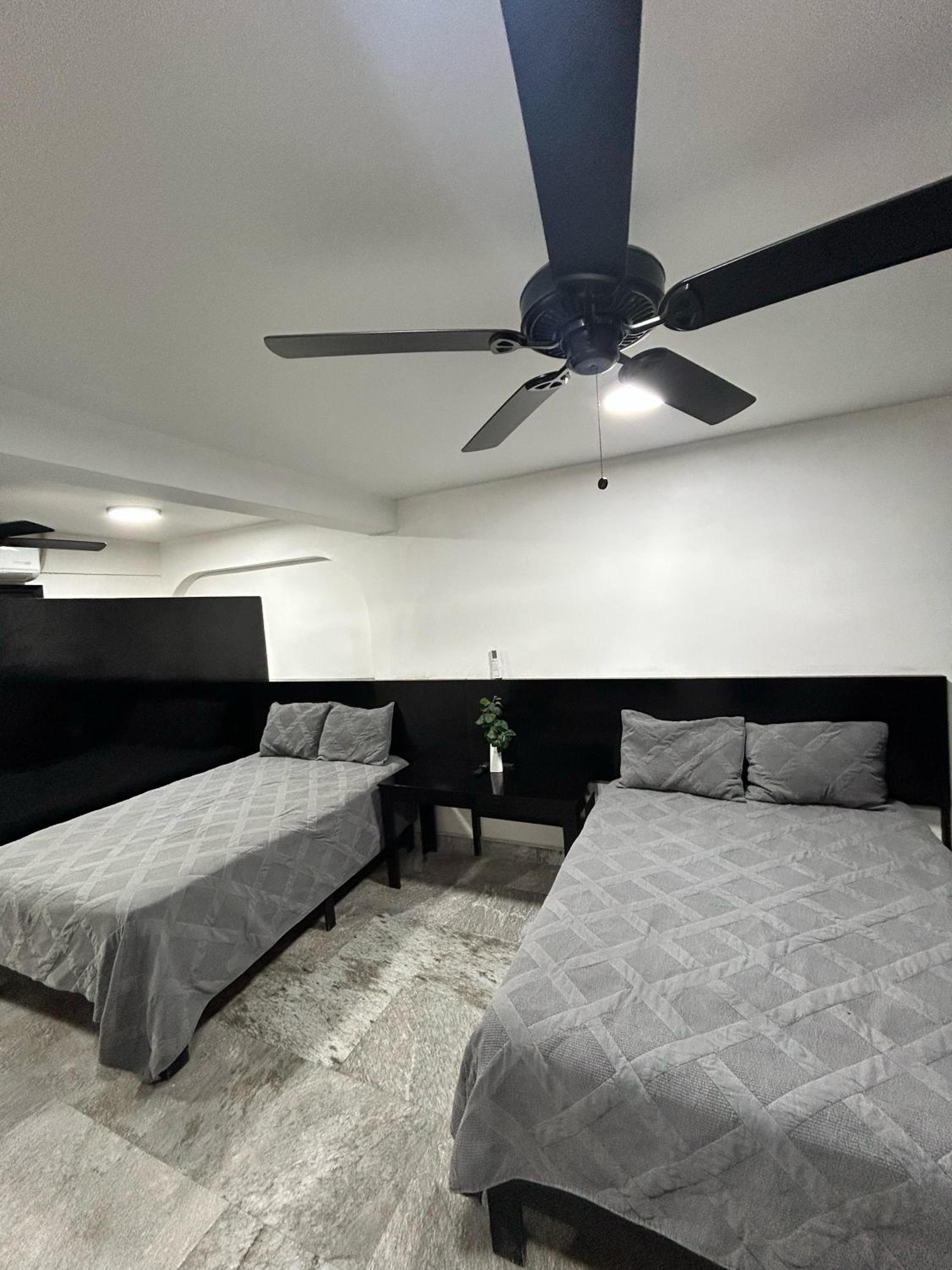 Twin Room photo 2