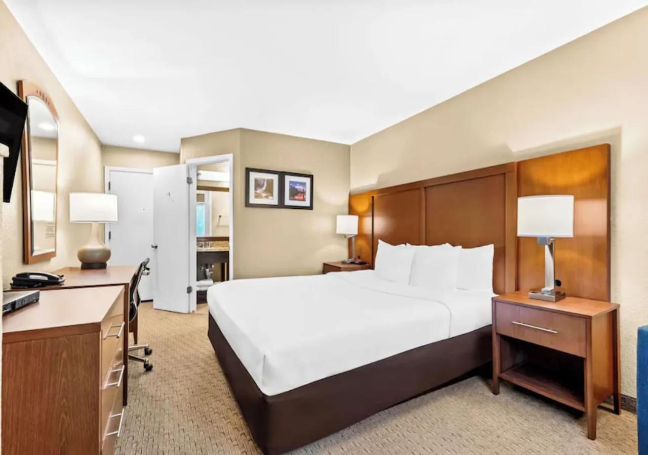 Standard King Room