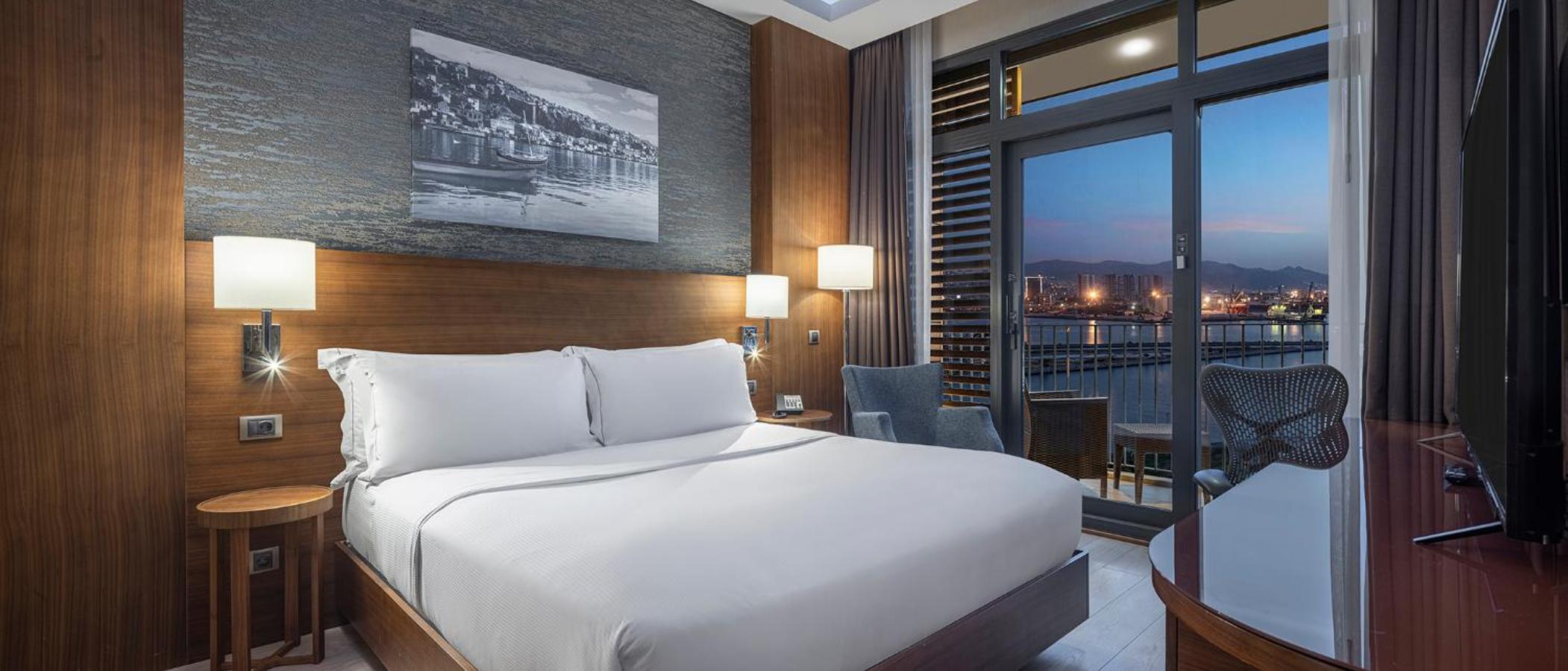 One-Bedroom King Suite