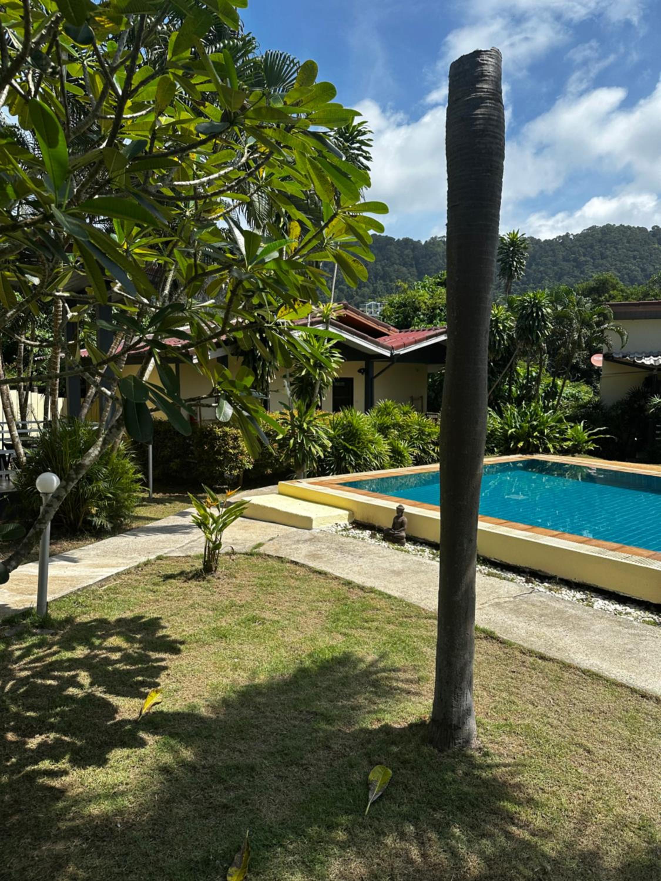 King Room with Mountain View photo 3