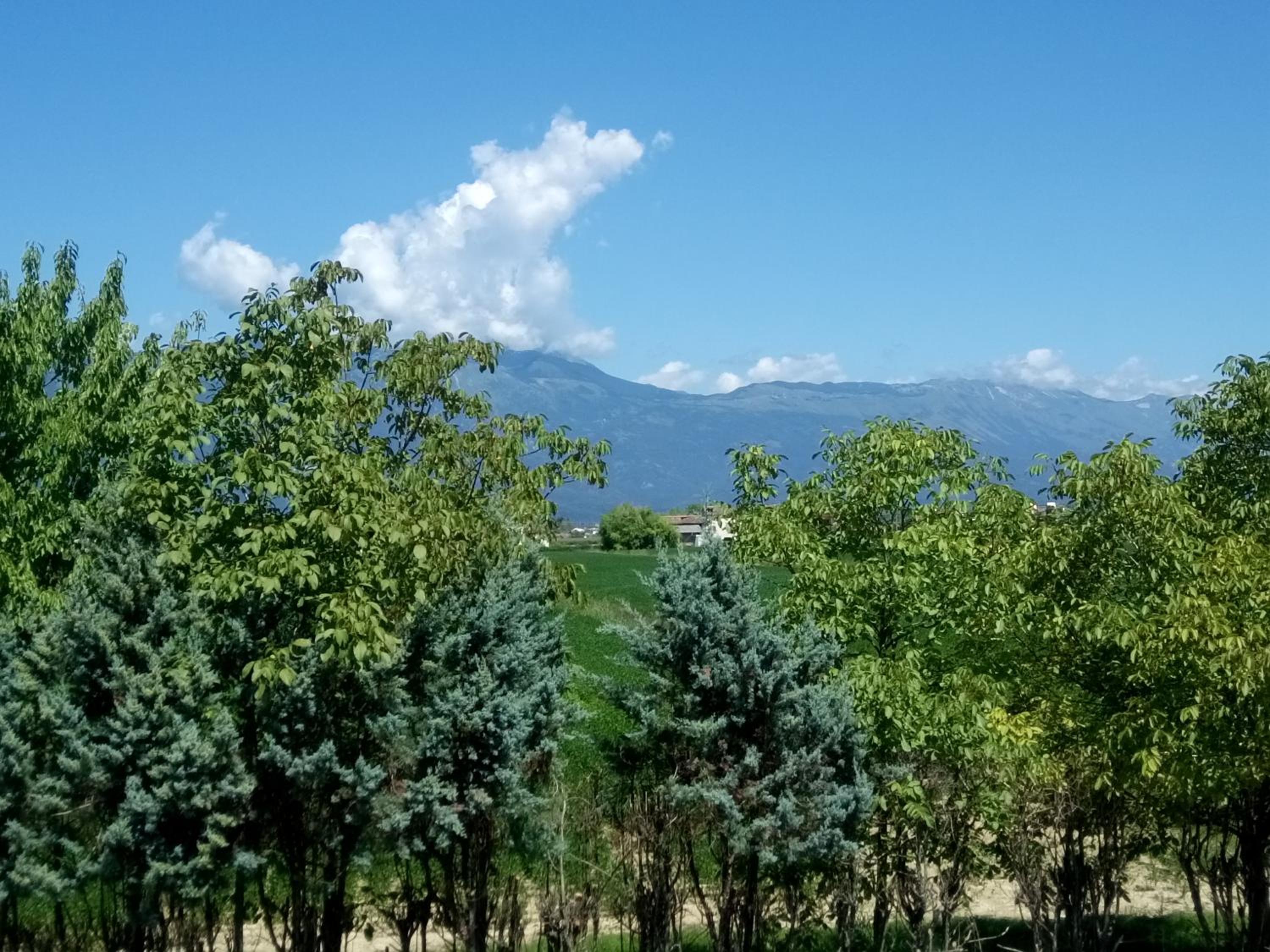 Double Room with Mountain View photo 2