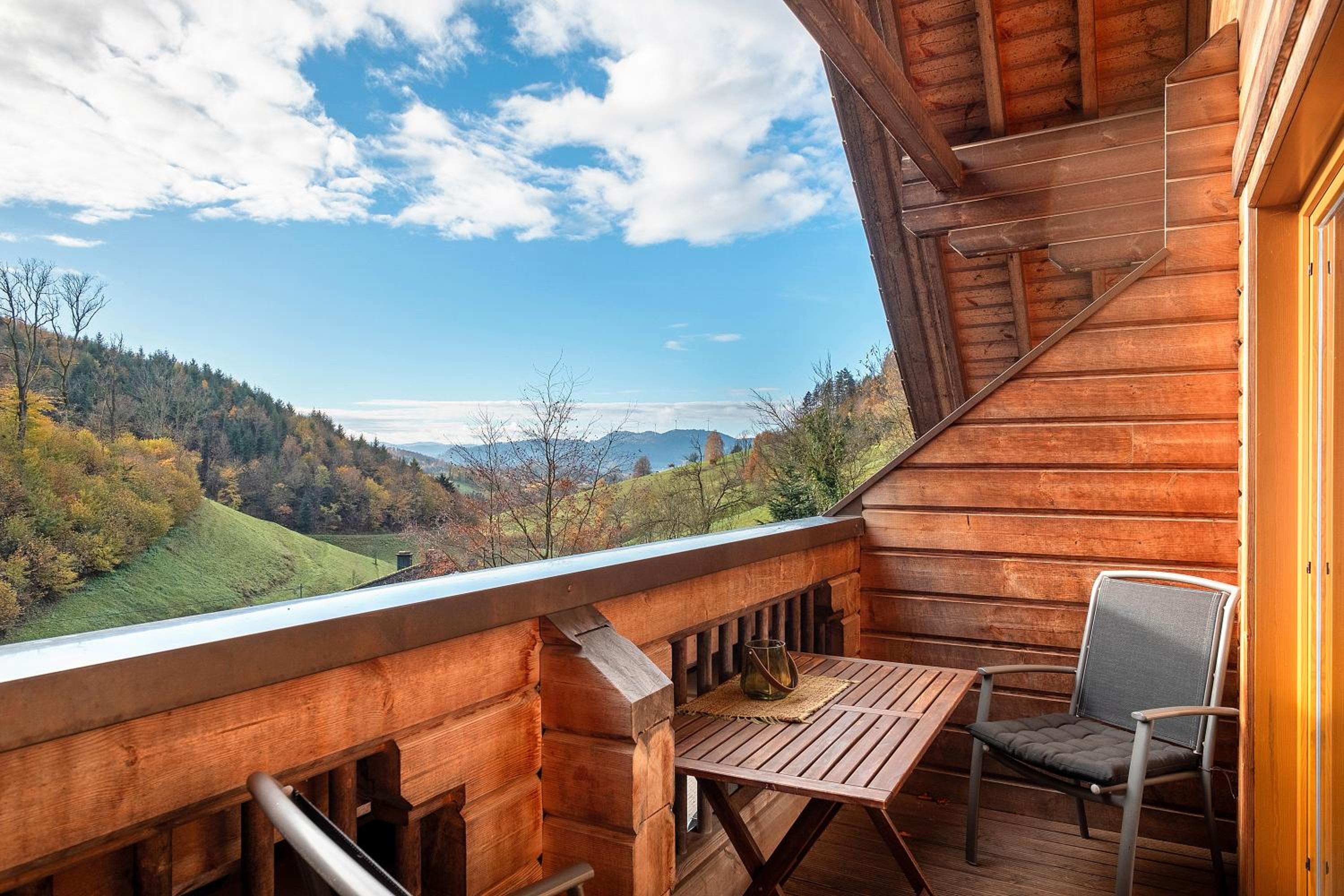 Superior One-Bedroom Apartment with Balcony