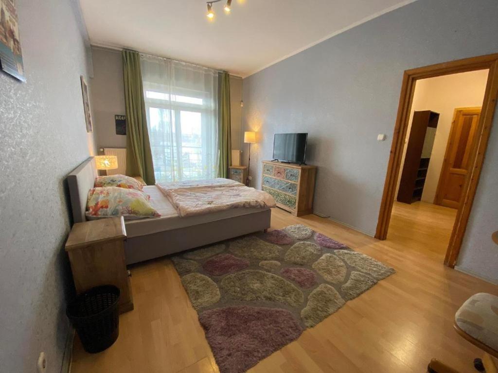 Single Room with Shared Toilet