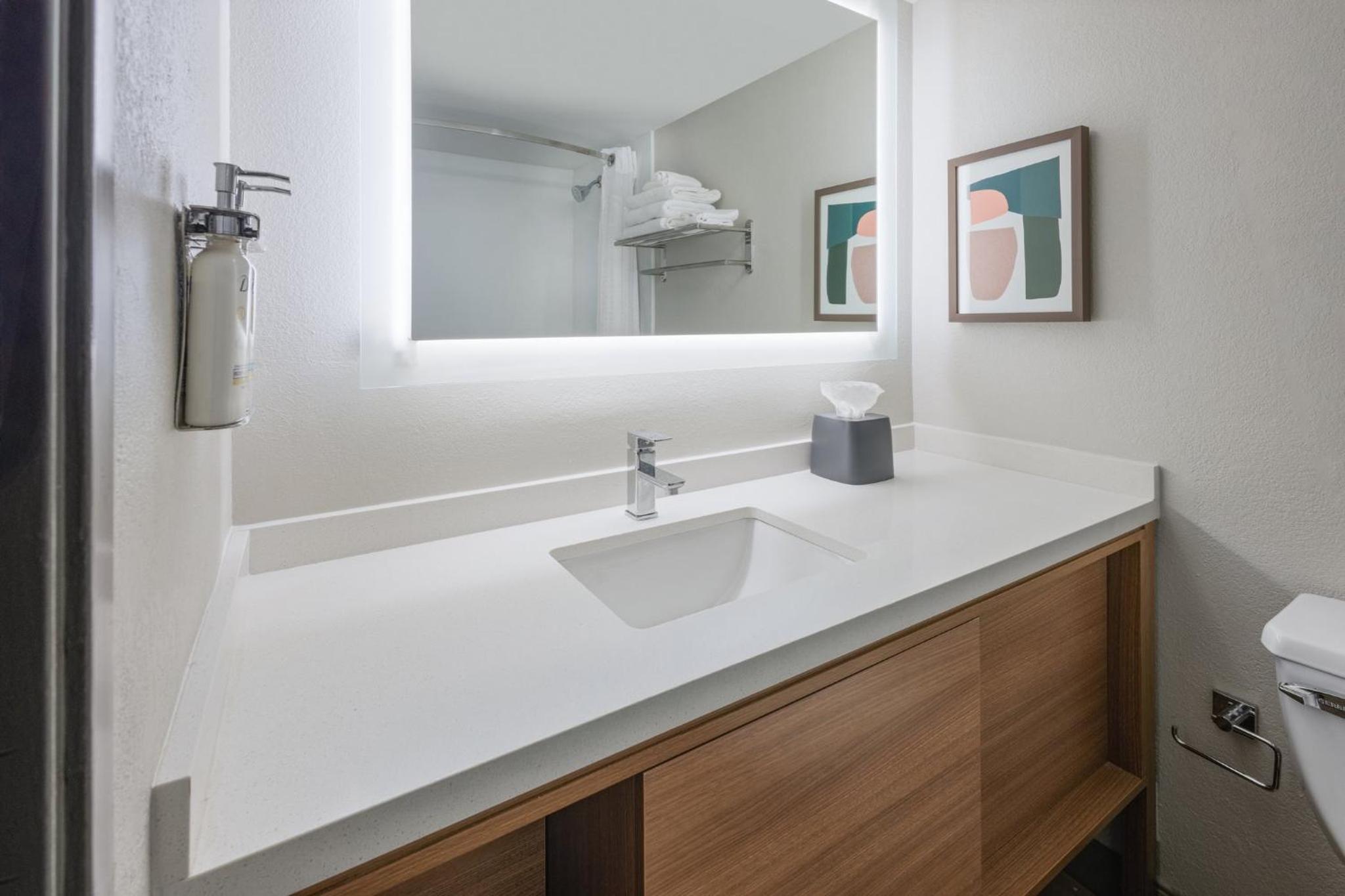 One-Bedroom King Suite - Photo 4