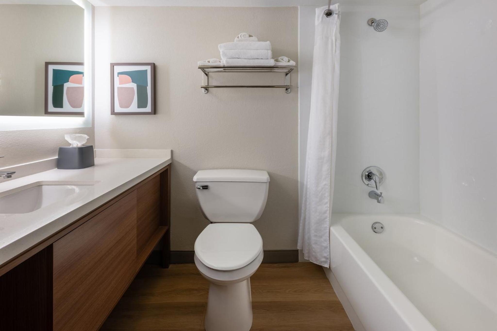 One-Bedroom King Suite - Photo 3