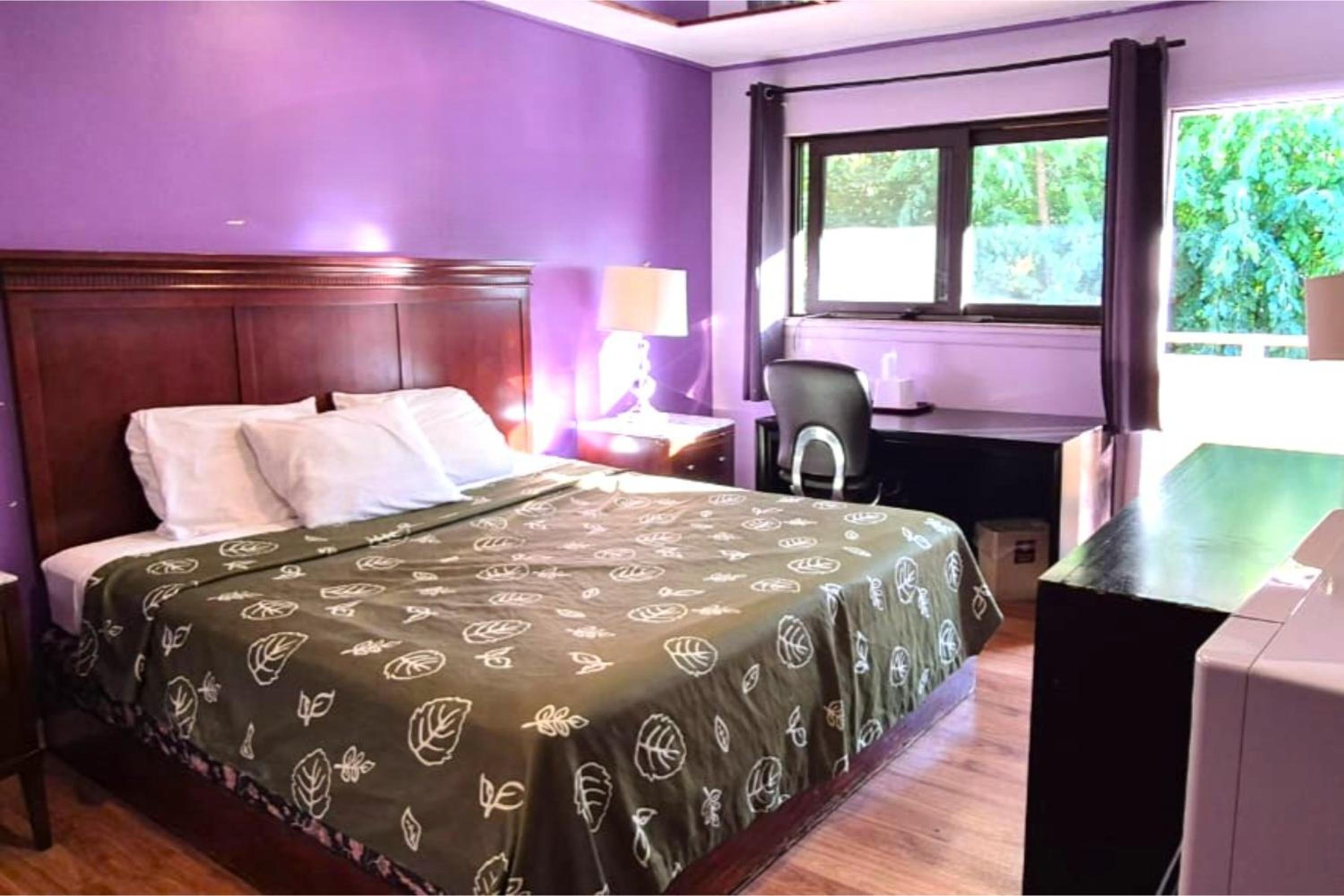 King Bed Non-Smoking - Photo 5